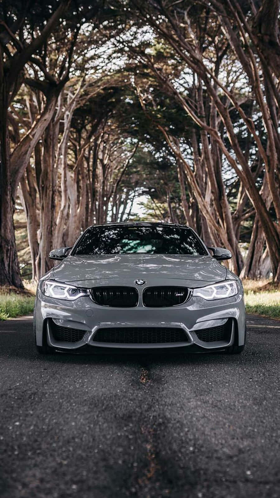 Pixel 3 BMW M4 в Silverstone Metallic II фон Тапет
