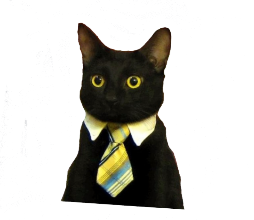 Бизнес Кот Мем.PNG Тапет