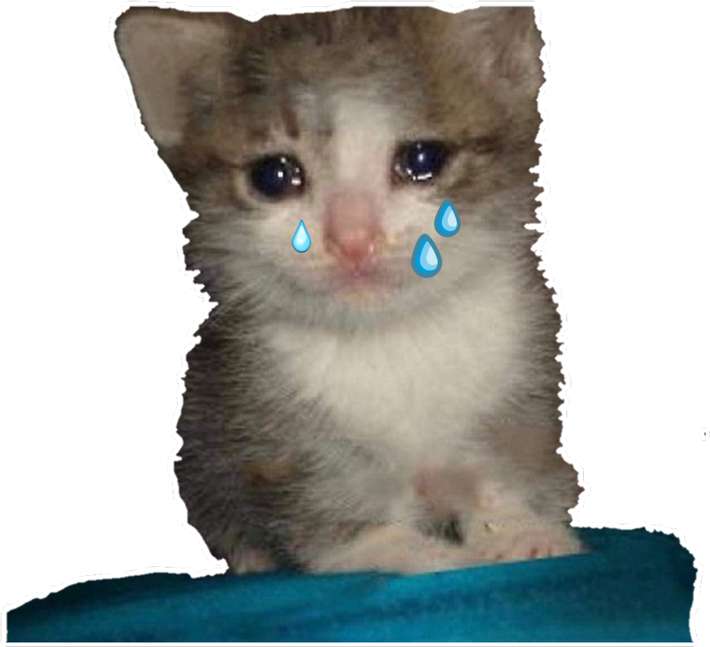 Плачущо_ коте_ Мем.PNG Тапет