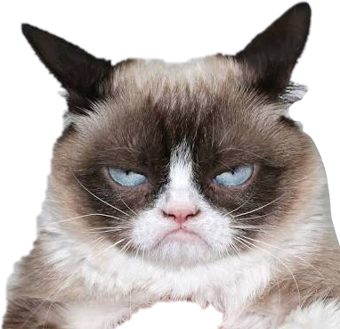 Изражение на сърдита котка.PNG Тапет