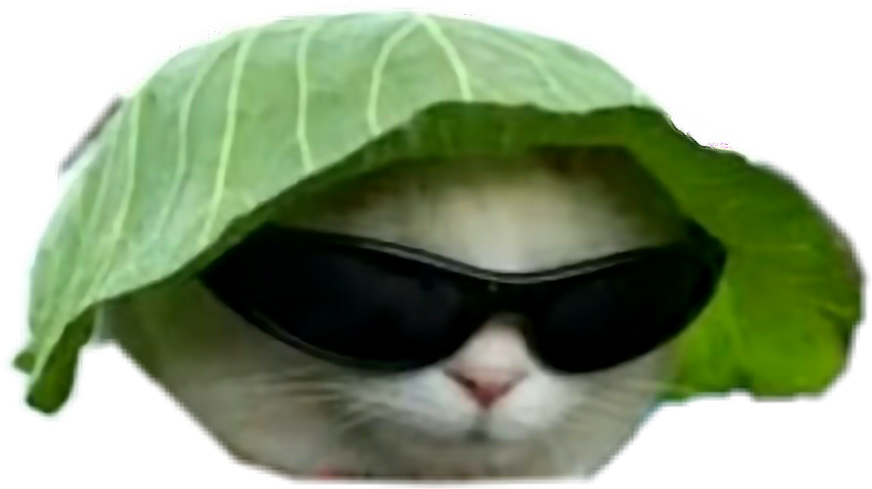 Готична котка с листна шапка и слънчеви очила.PNG Тапет