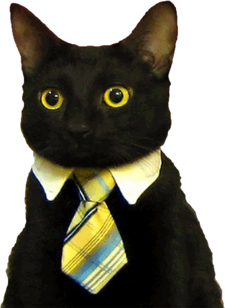 Бизнес котка в костюм_ Мем.PNG Тапет
