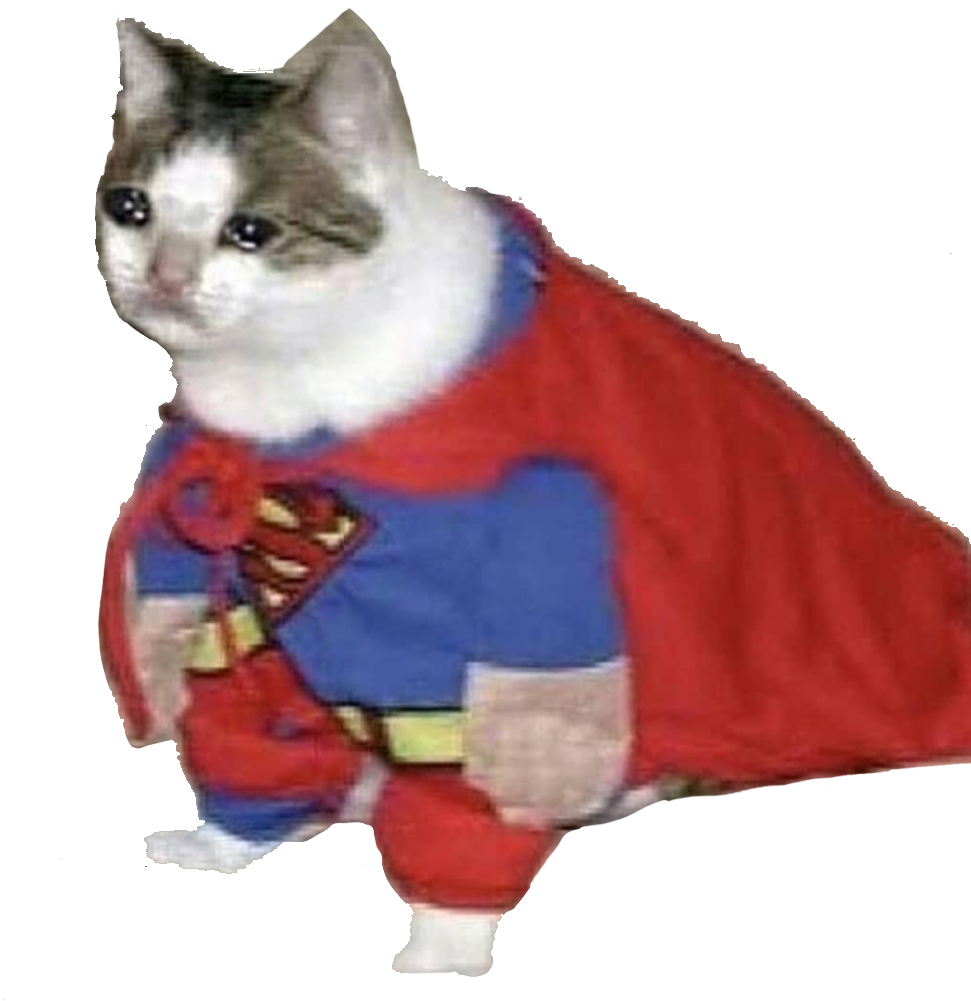 Супер кот_ Герой_ Мем.PNG Тапет