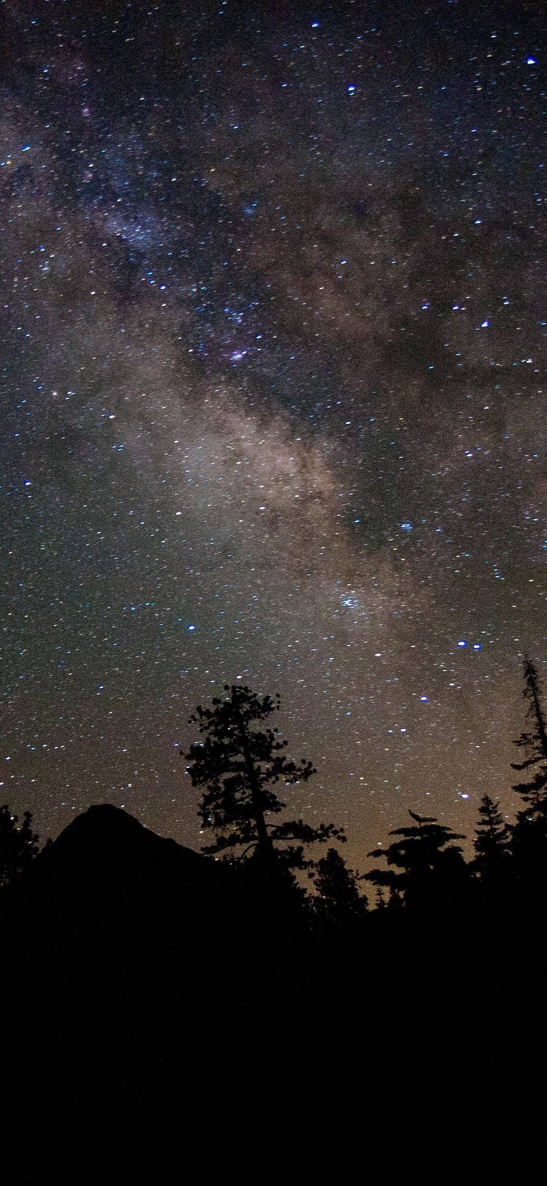 Pretty Galaxy Mountain Forest Тапет