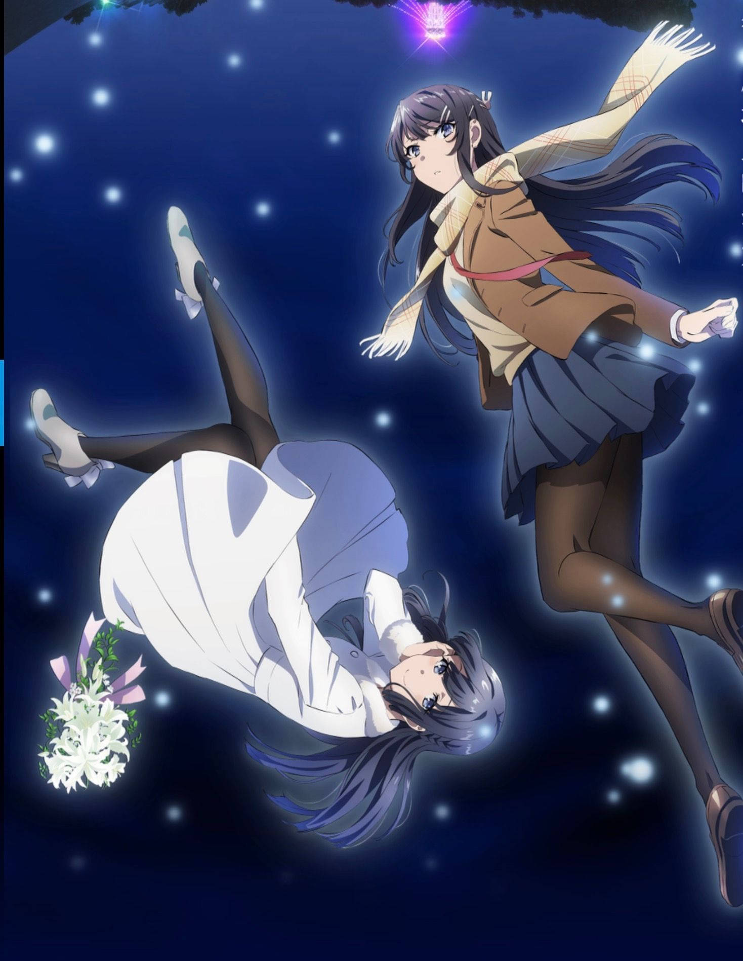 Rascal Does Not Dream Of Bunny Girl Senpai Шоко и Май Тапет