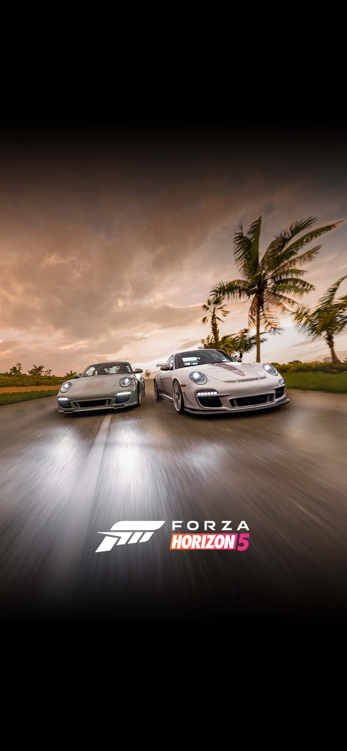 Ravensburger Porsche iPhone X фон за Forza Motorsport 7 Тапет