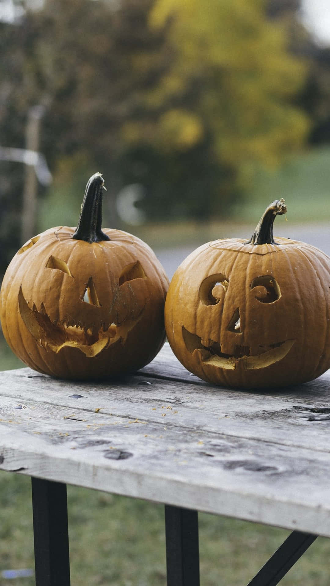Trick or Treat! Влезте в духа на Хелоуин с тази страхотно естетична снимка Тапет