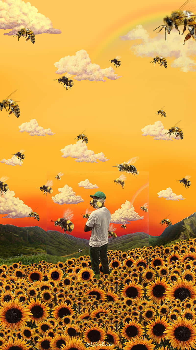 Слънчогледово поле Tyler The Creator PFP Тапет