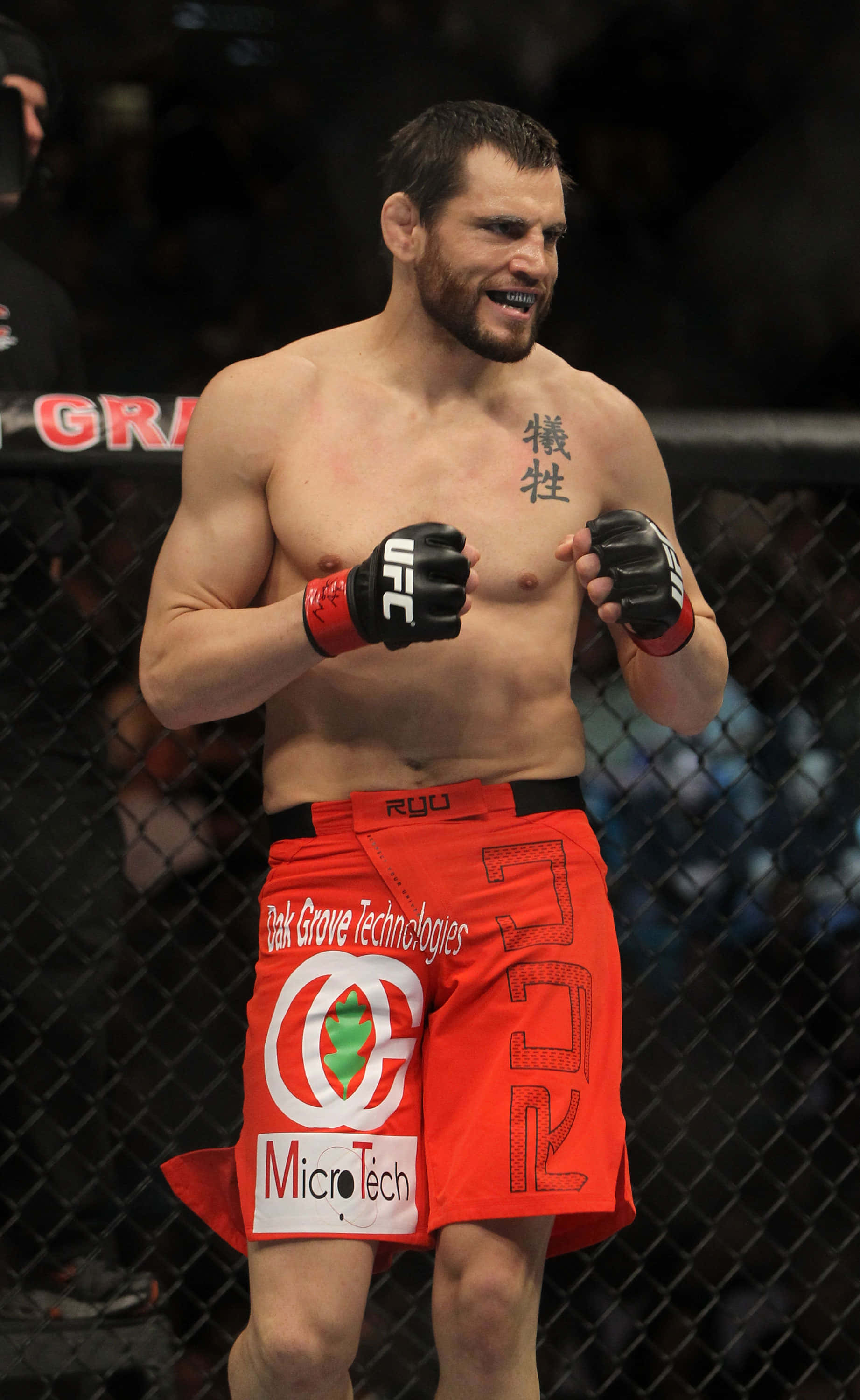 Джон Фич стоящ октагон UFC 141 Тапет