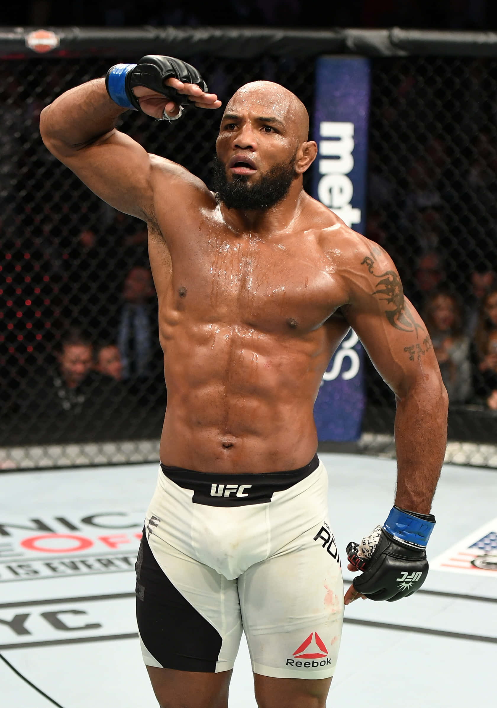 Йоел Ромеро поздрав в UFC 205 Тапет