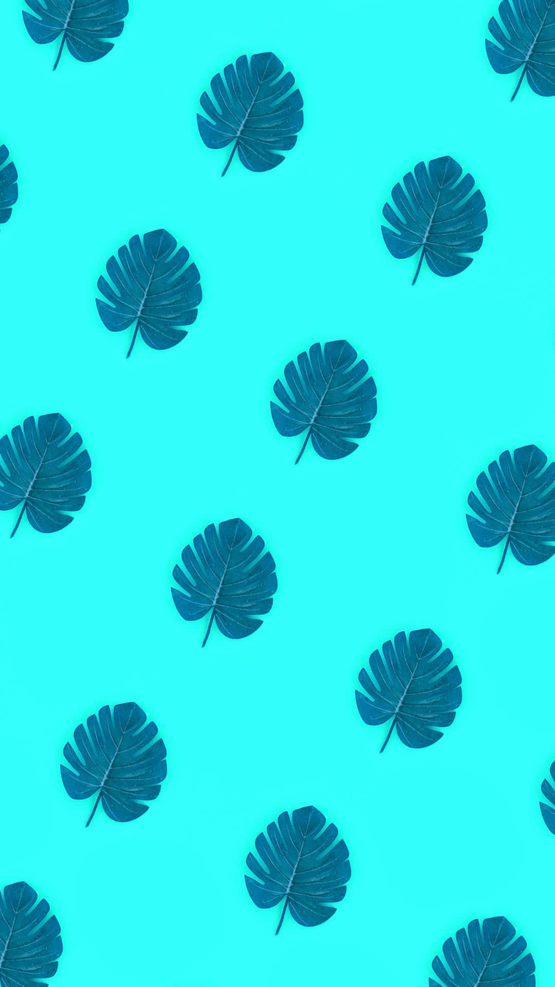 Естетичен VSCO модел с листа на монстера на фон Тапет