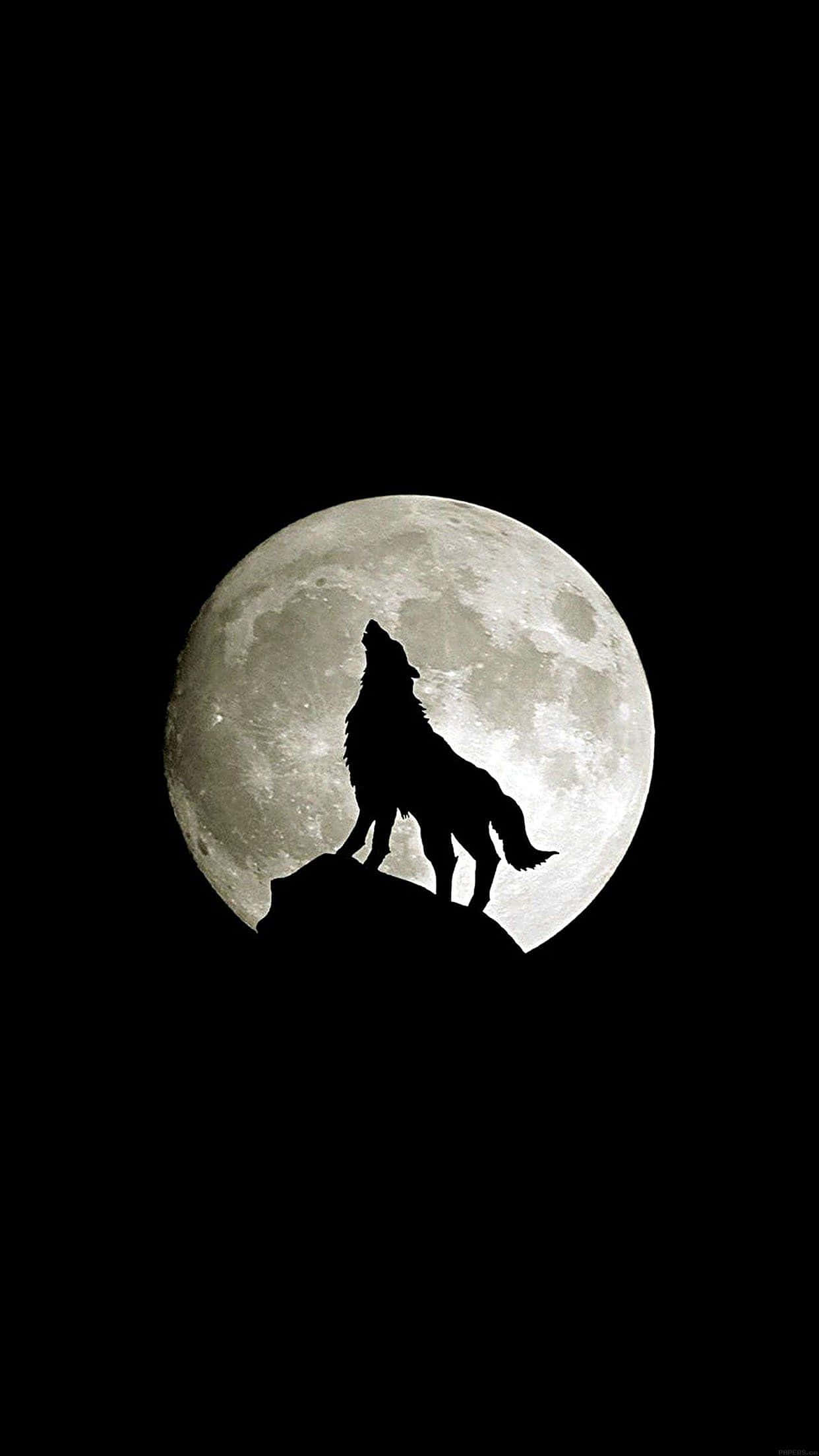 Препускай през дивата природа с Wolf iPhone Тапет
