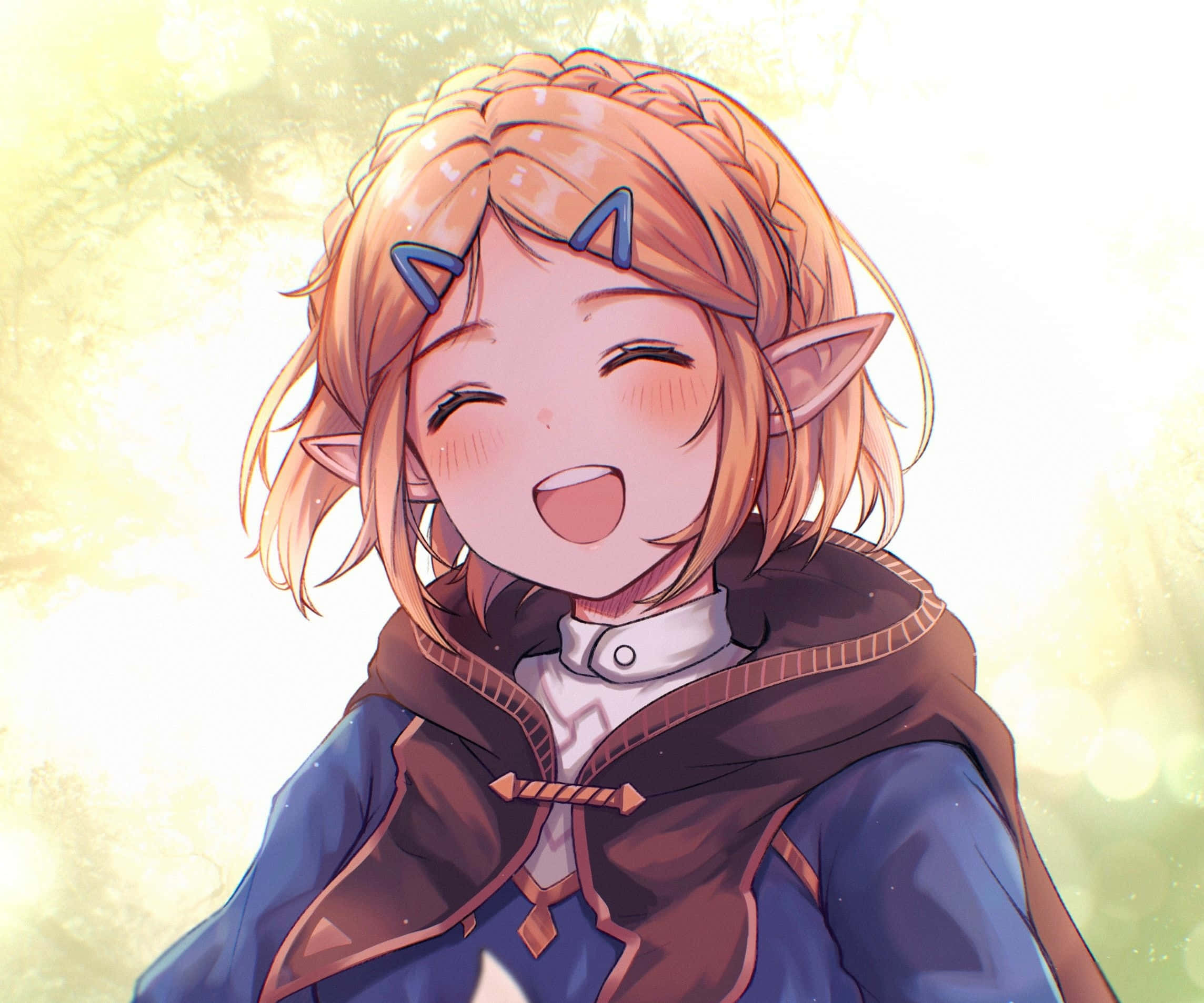 Фон Zelda Тапет