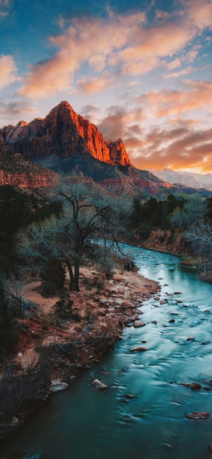 Секция Zion Narrows в националния парк Зайон Тапет