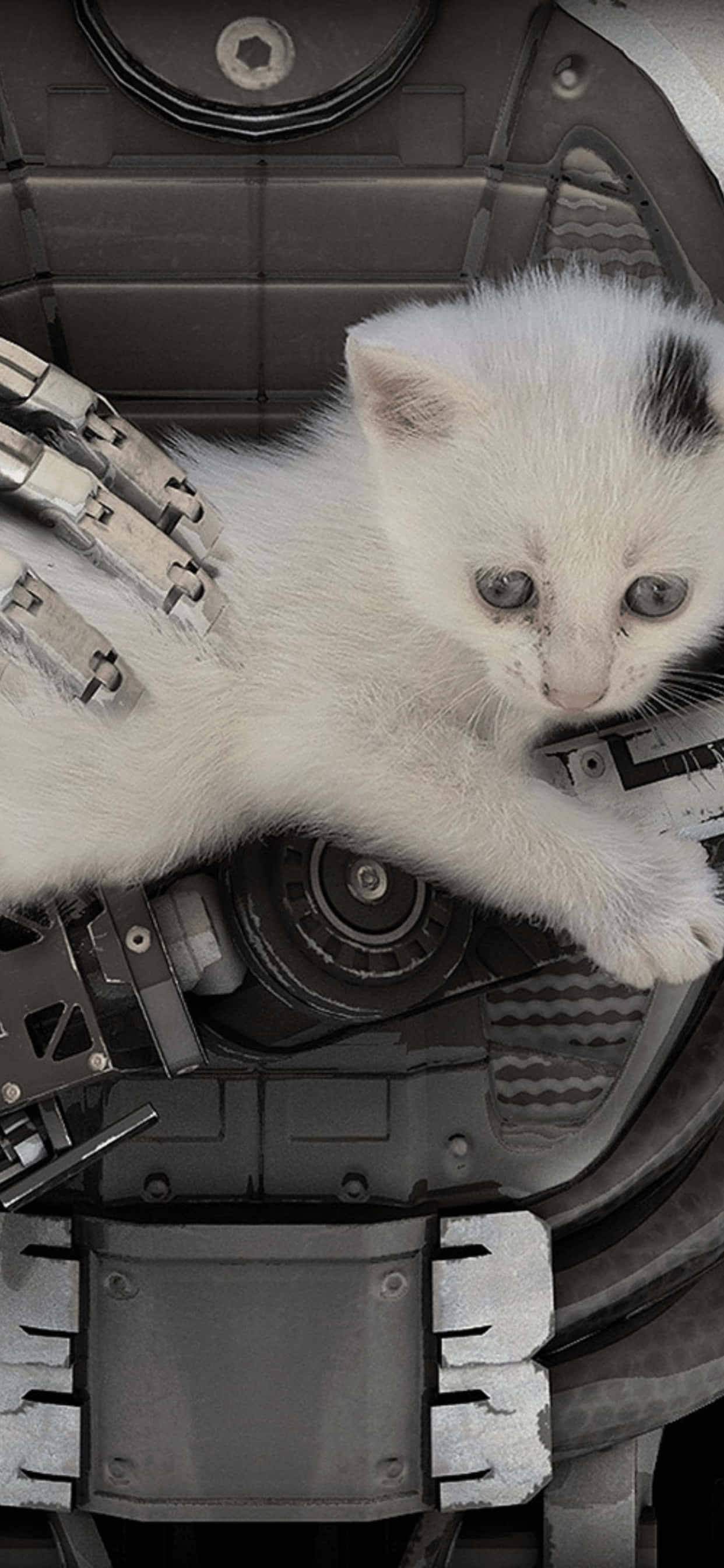Величествен свят на The Talos Principle на iPhone XS Max Тапет