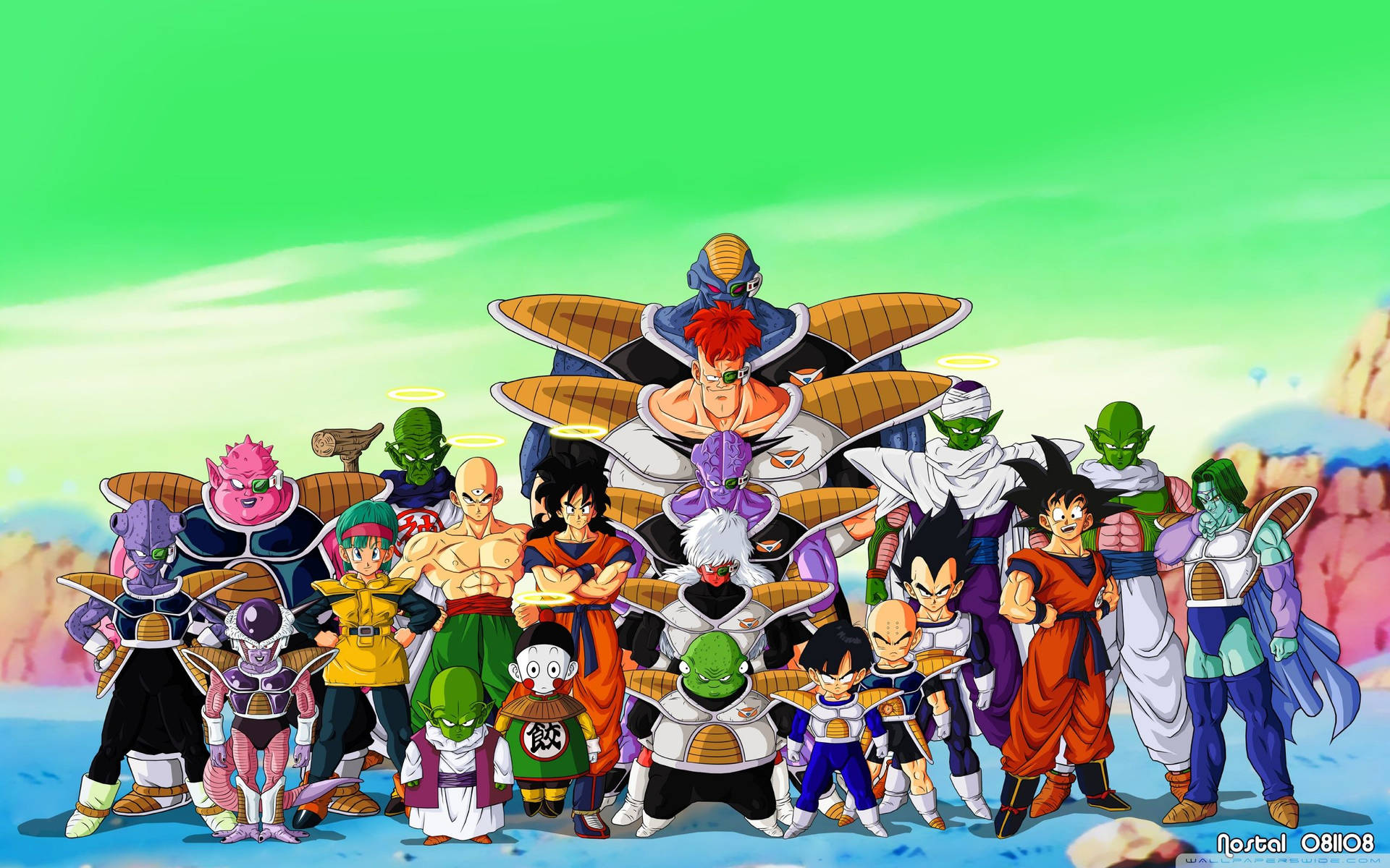 Dragon Ball Z герои на планетата Намек със Сан Гоку, Пиколо и други андроиди.