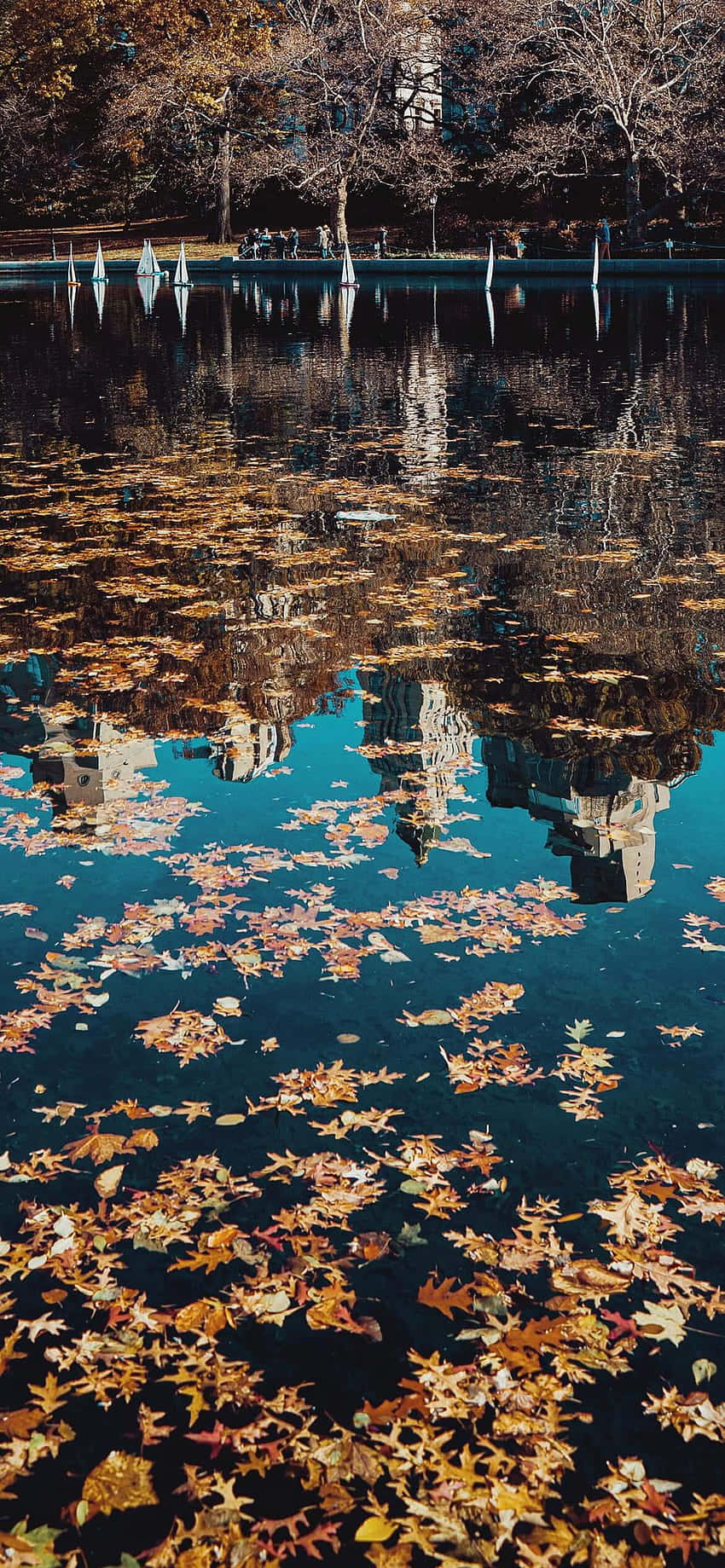 есенни листа, отразени в езеро Тапет
