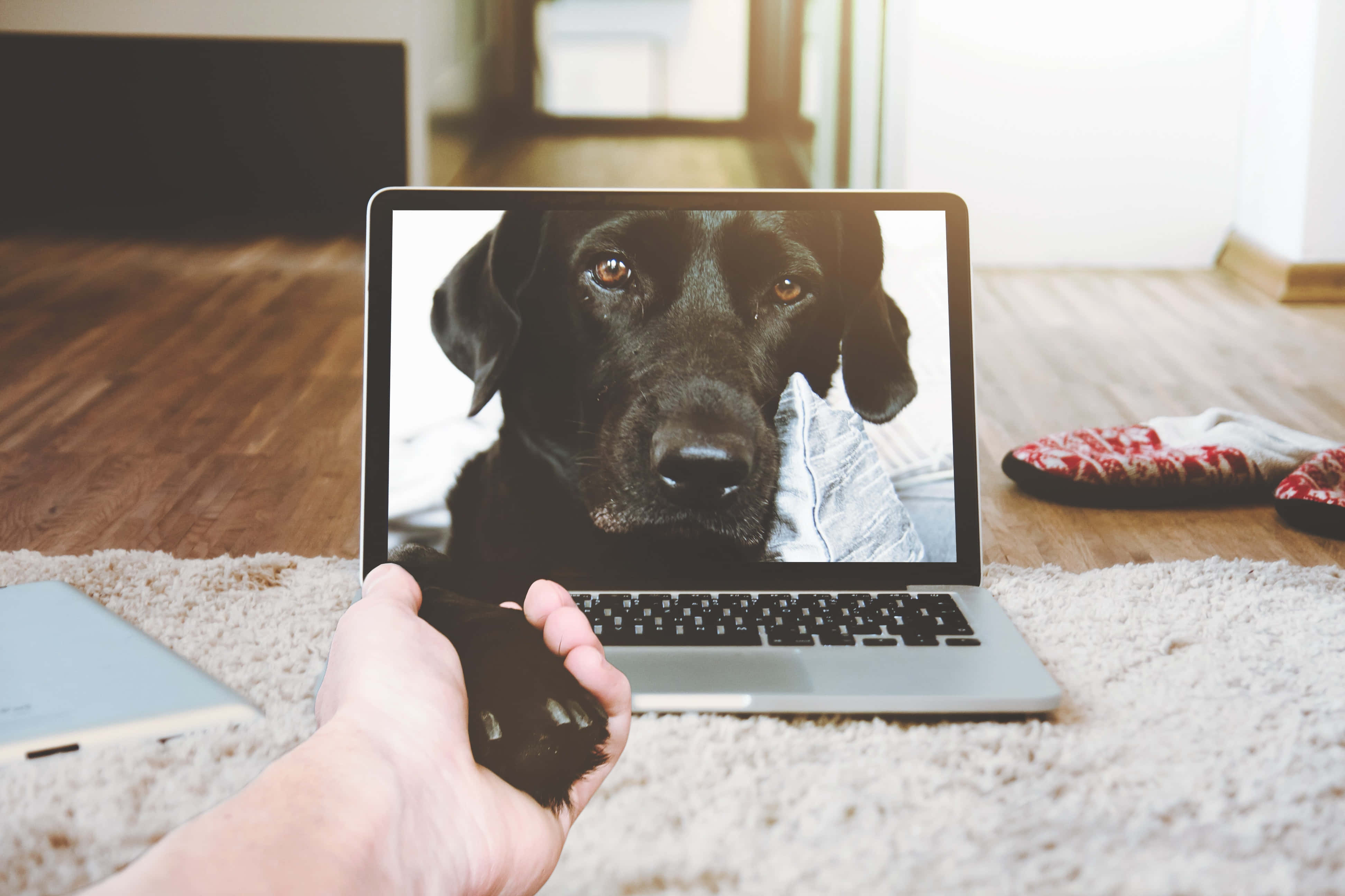 Естетичен и модерен сребрист Macbook Тапет