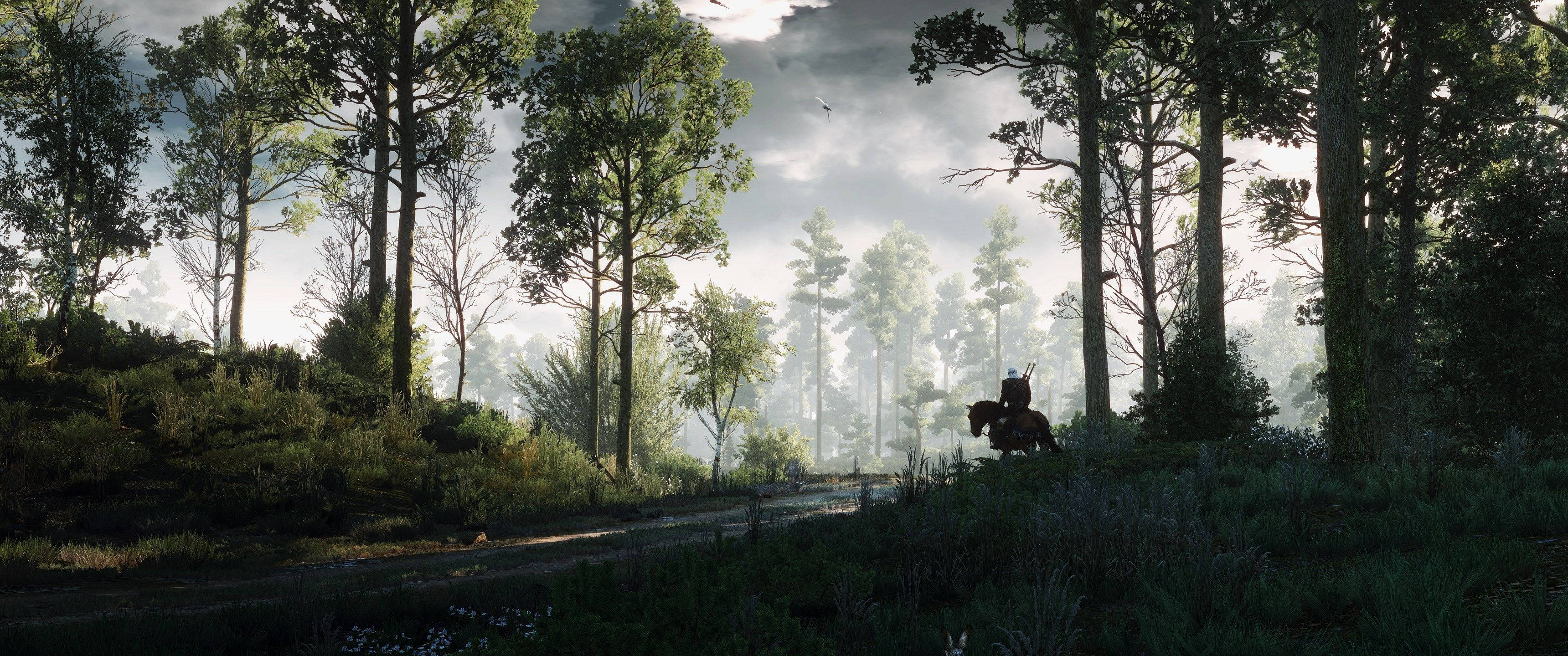 Изследвайте мистическата гора от видеоиграта The Witcher Тапет