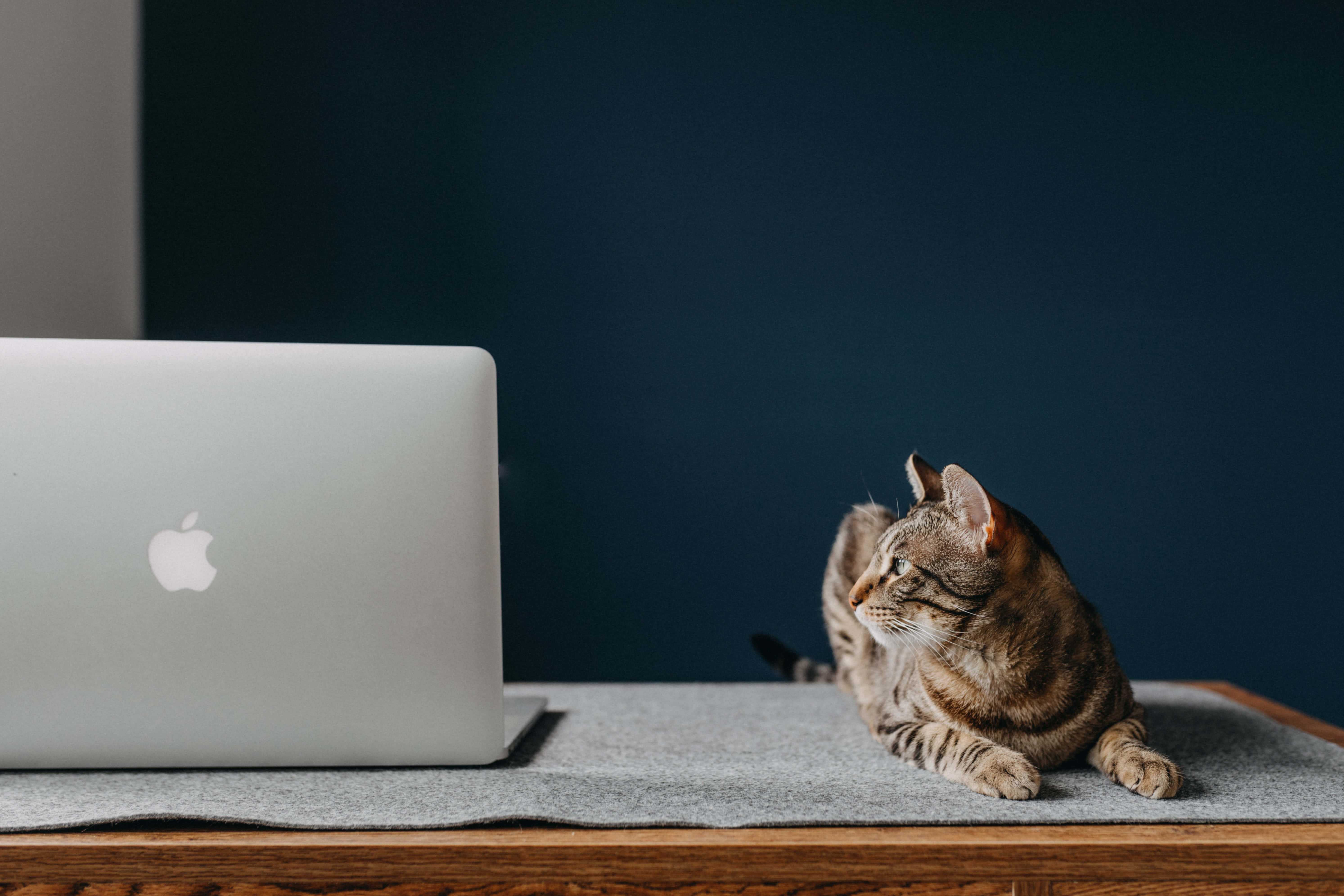 Класически лаптоп Macbook с минималистичен дизайн Тапет