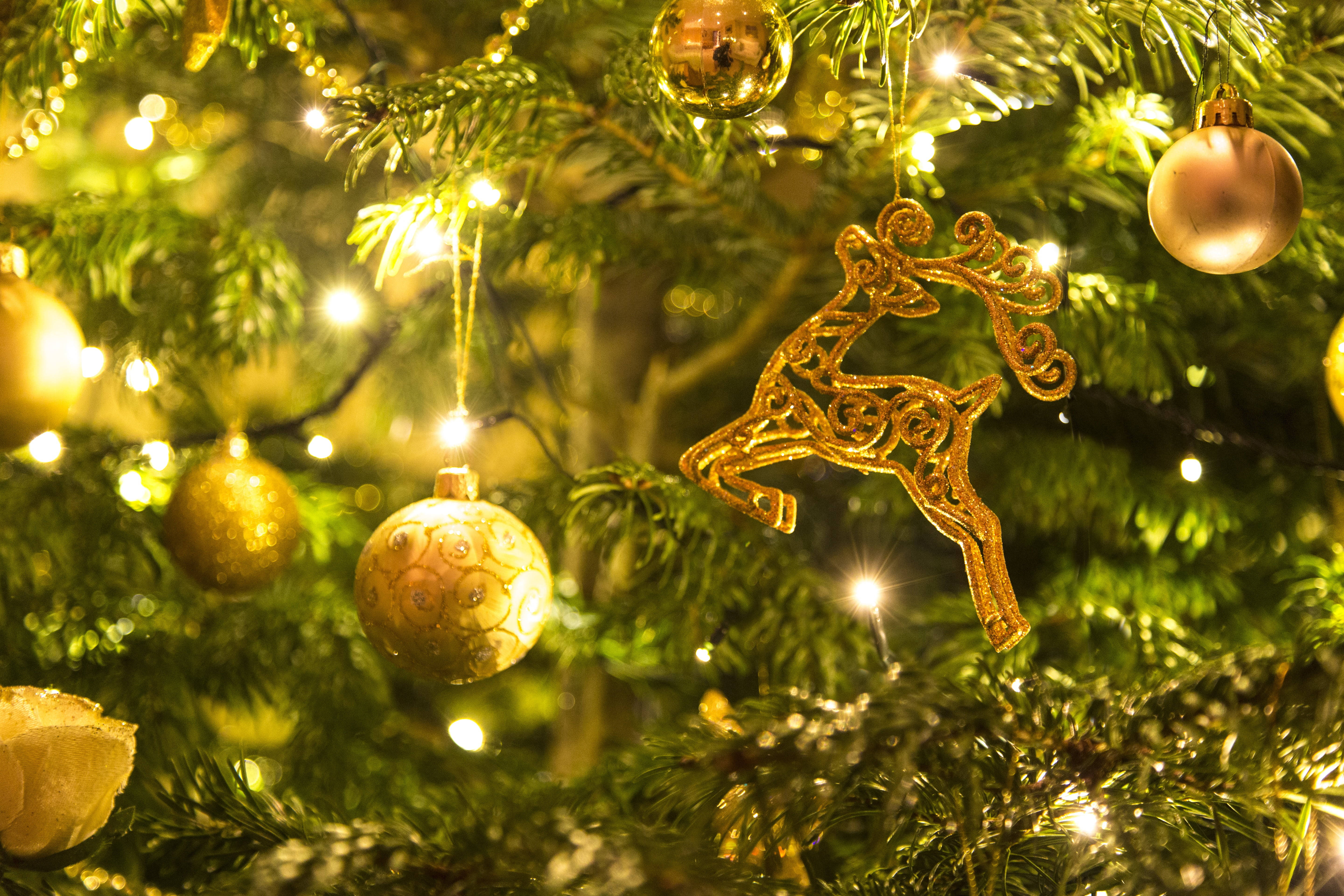 Коледна елха със златни орнаменти Тапет