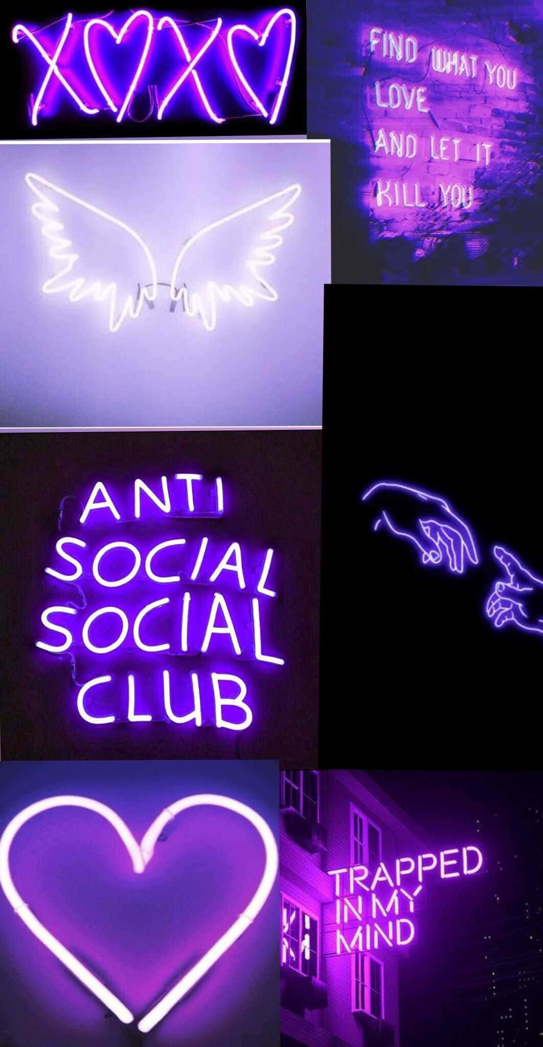колекция от неонови знаци с думи като анти социал клуб Тапет