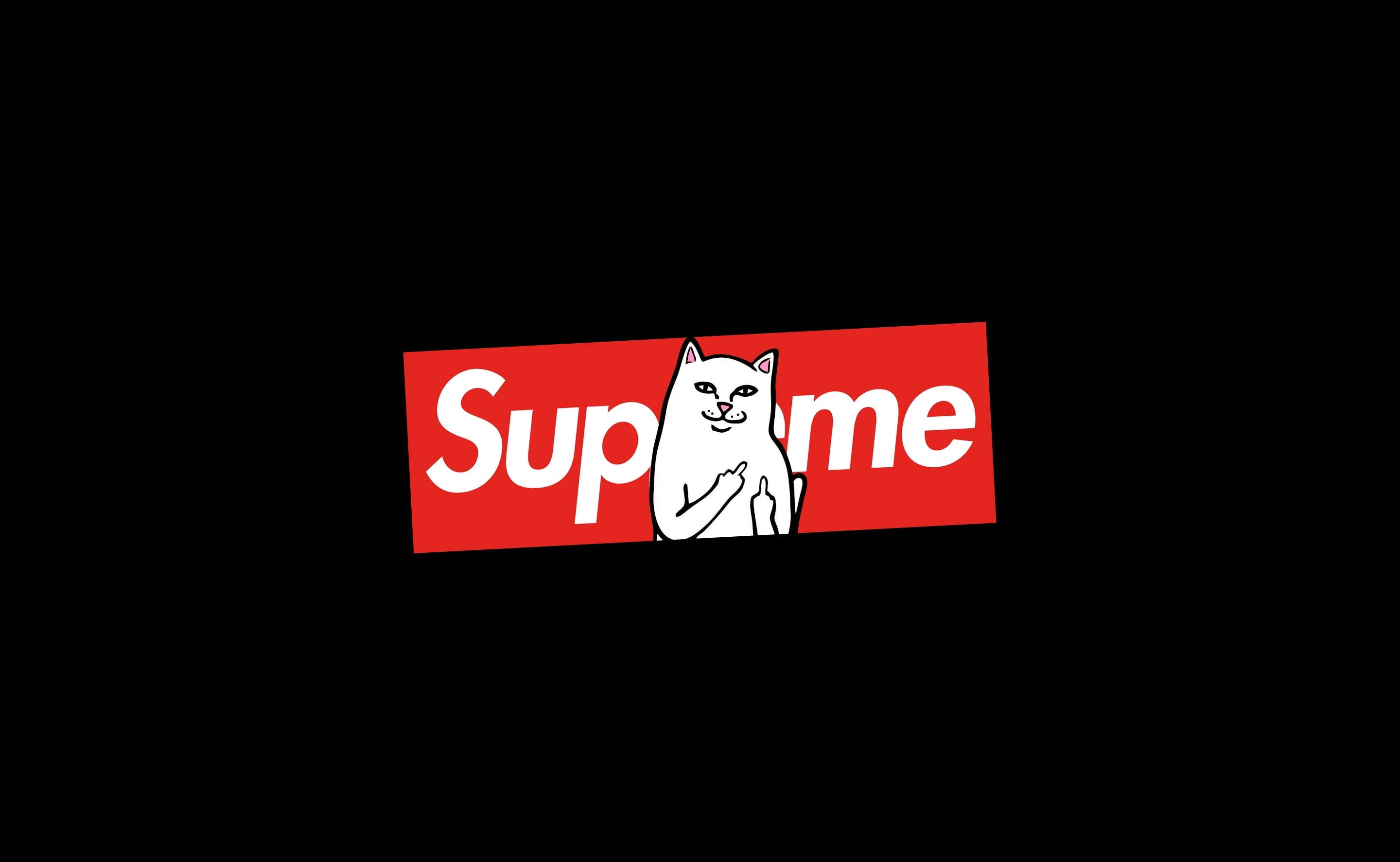 Котка, седнала на лаптоп Supreme Тапет