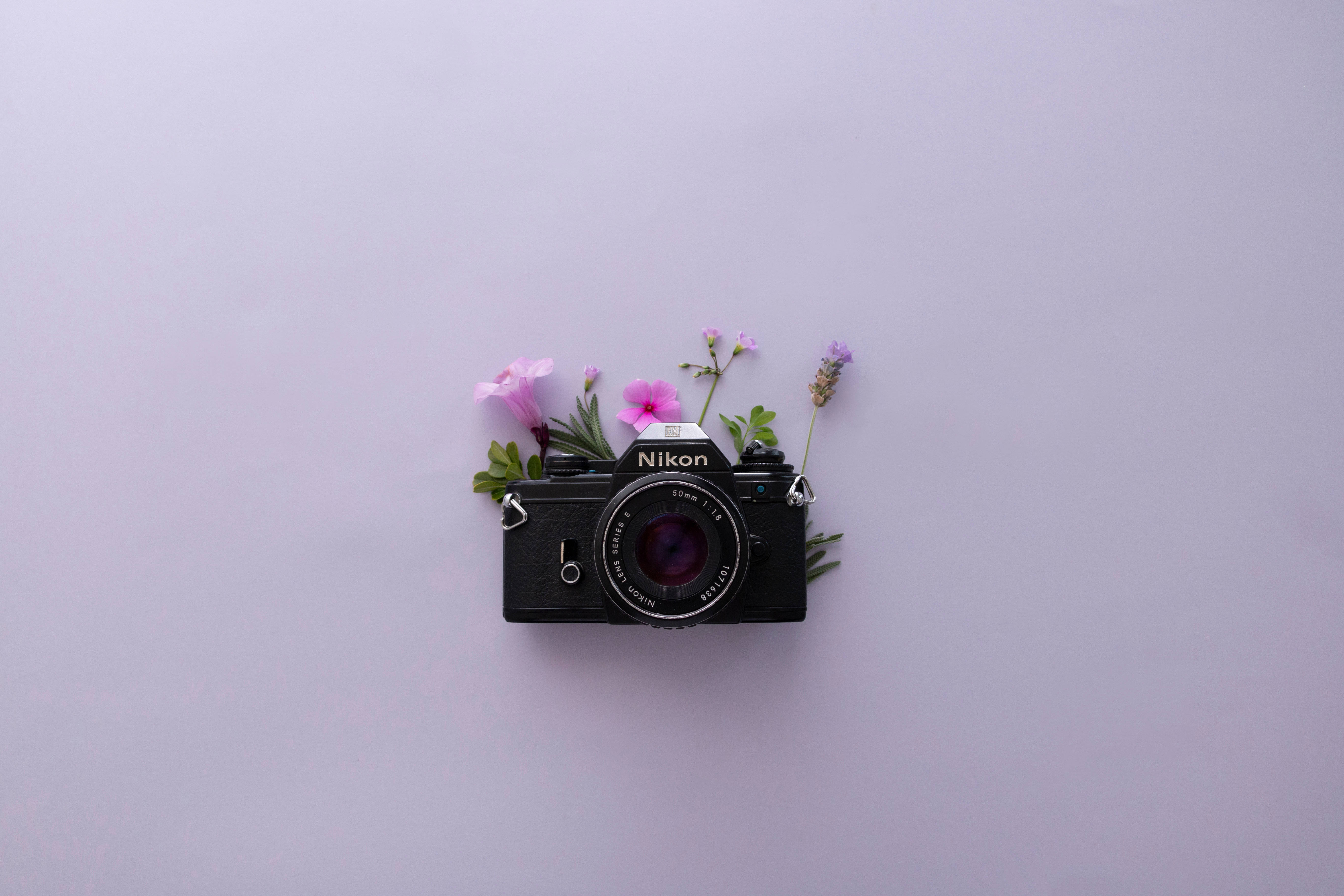Лавандулова естетика и Nikon фотоапарат Тапет