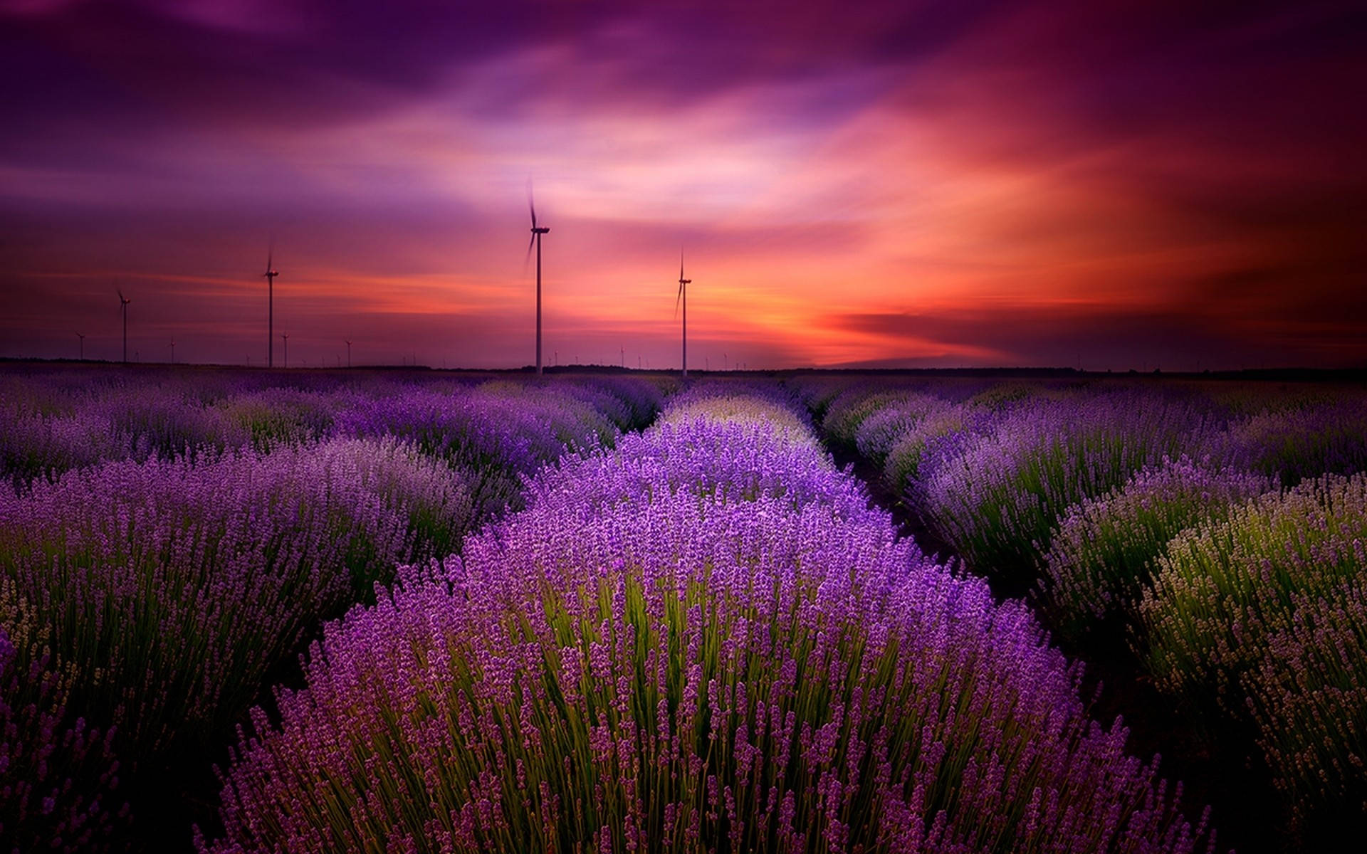 Лавандулово естетично поле и вятърни мелници Тапет