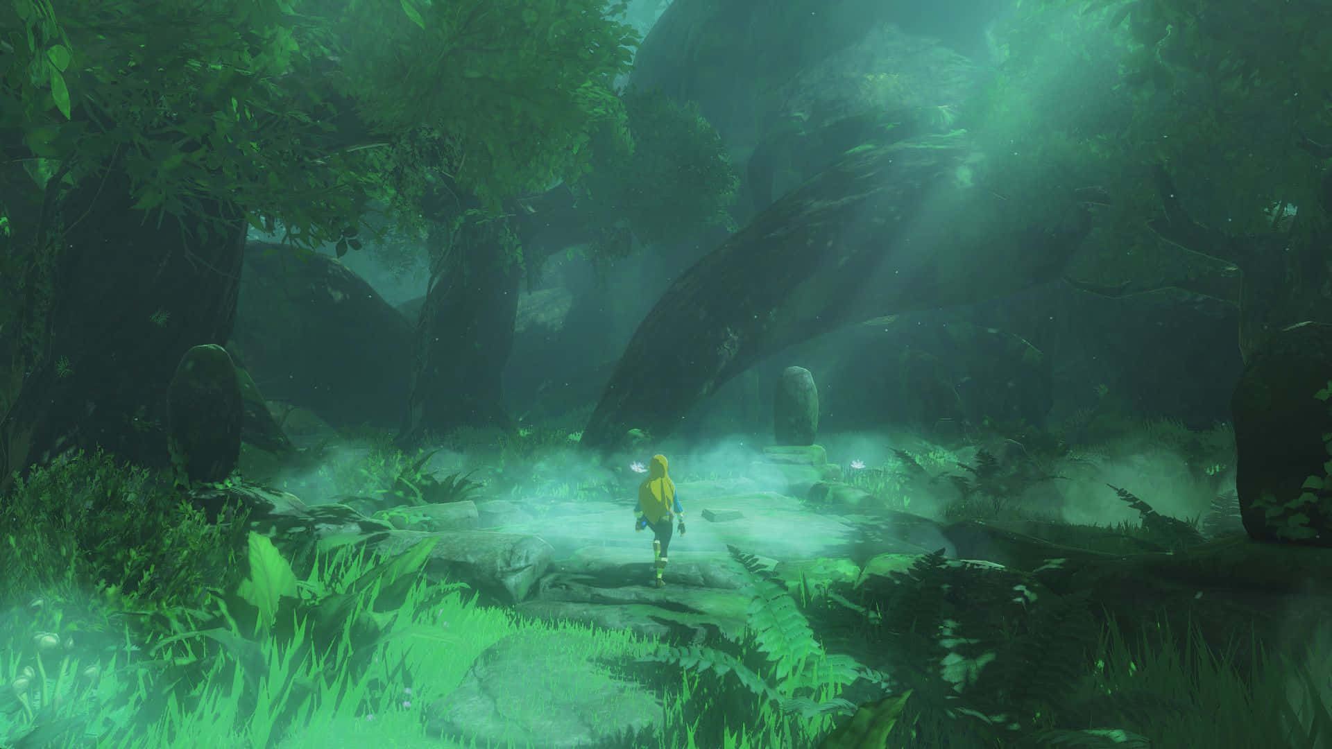 Линк в пътуване из света на The Legend of Zelda Тапет