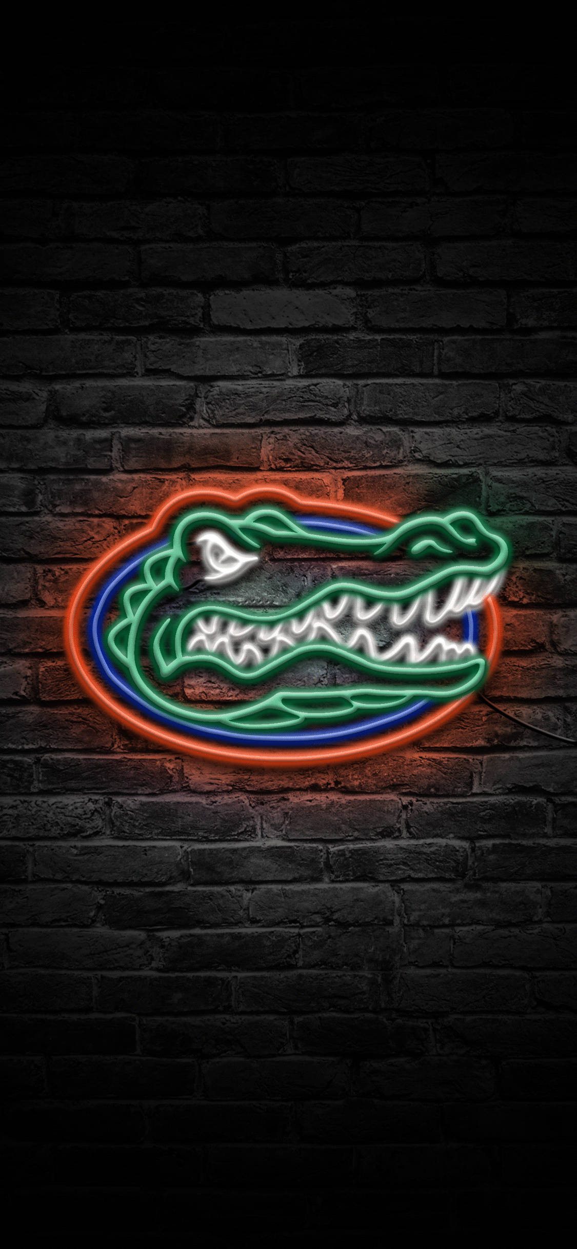 Лого на Florida Gators в неонови светлини Тапет