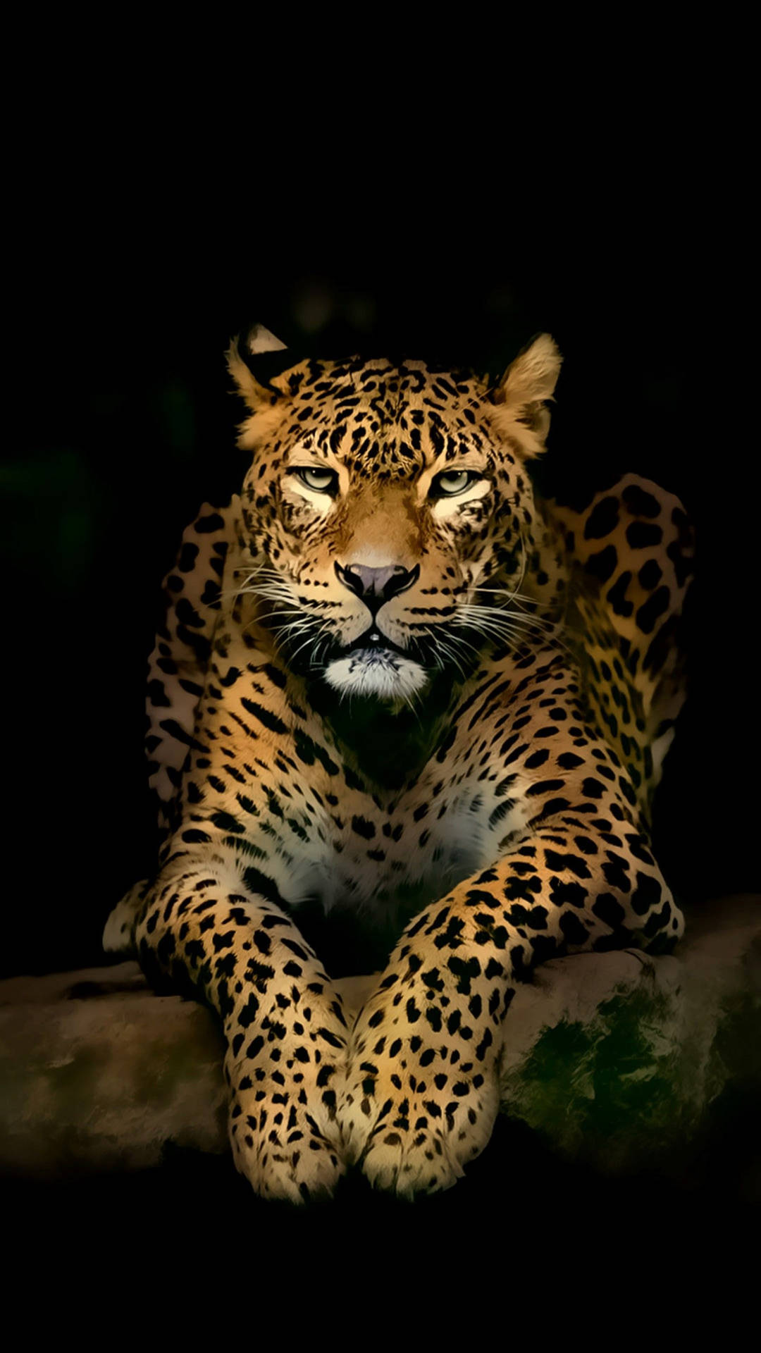 Мобилен 4K
