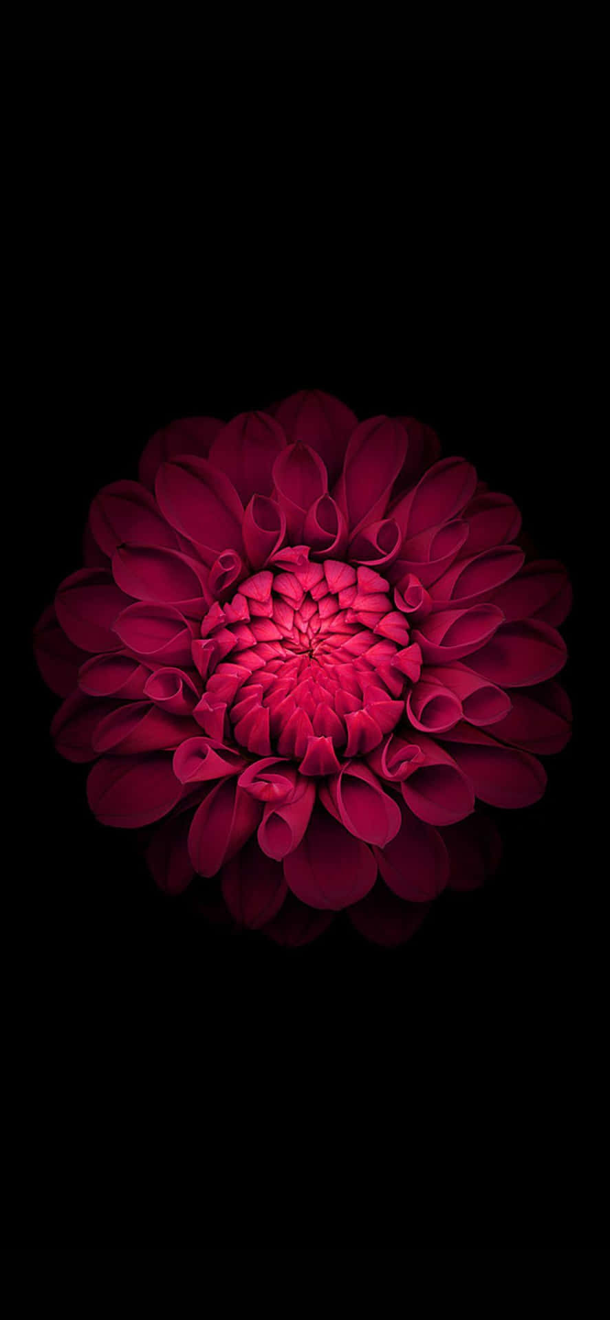 iPhone 13 фон