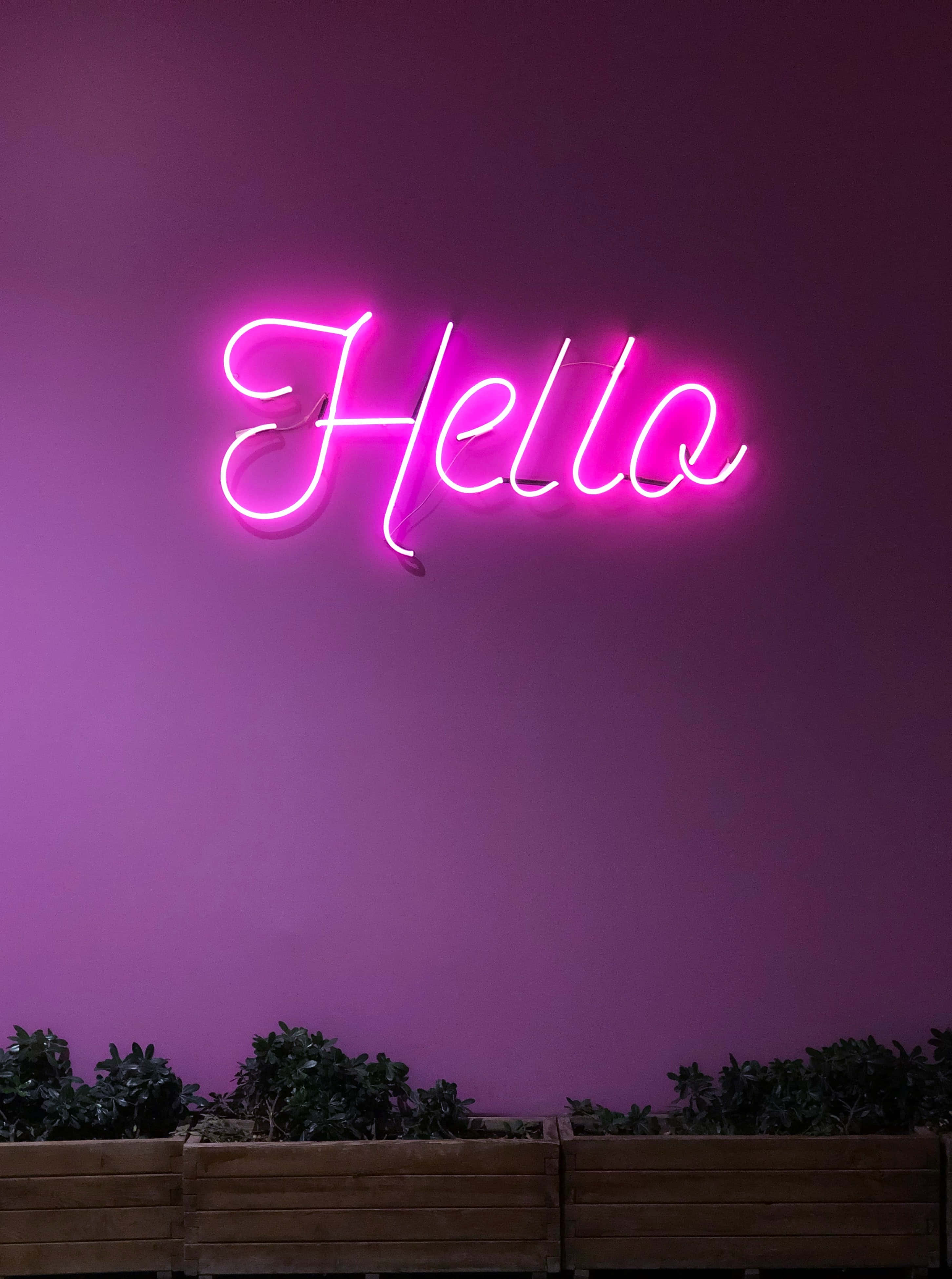 Насладете се уникално цвятно изживяние с Purple Neon Тапет