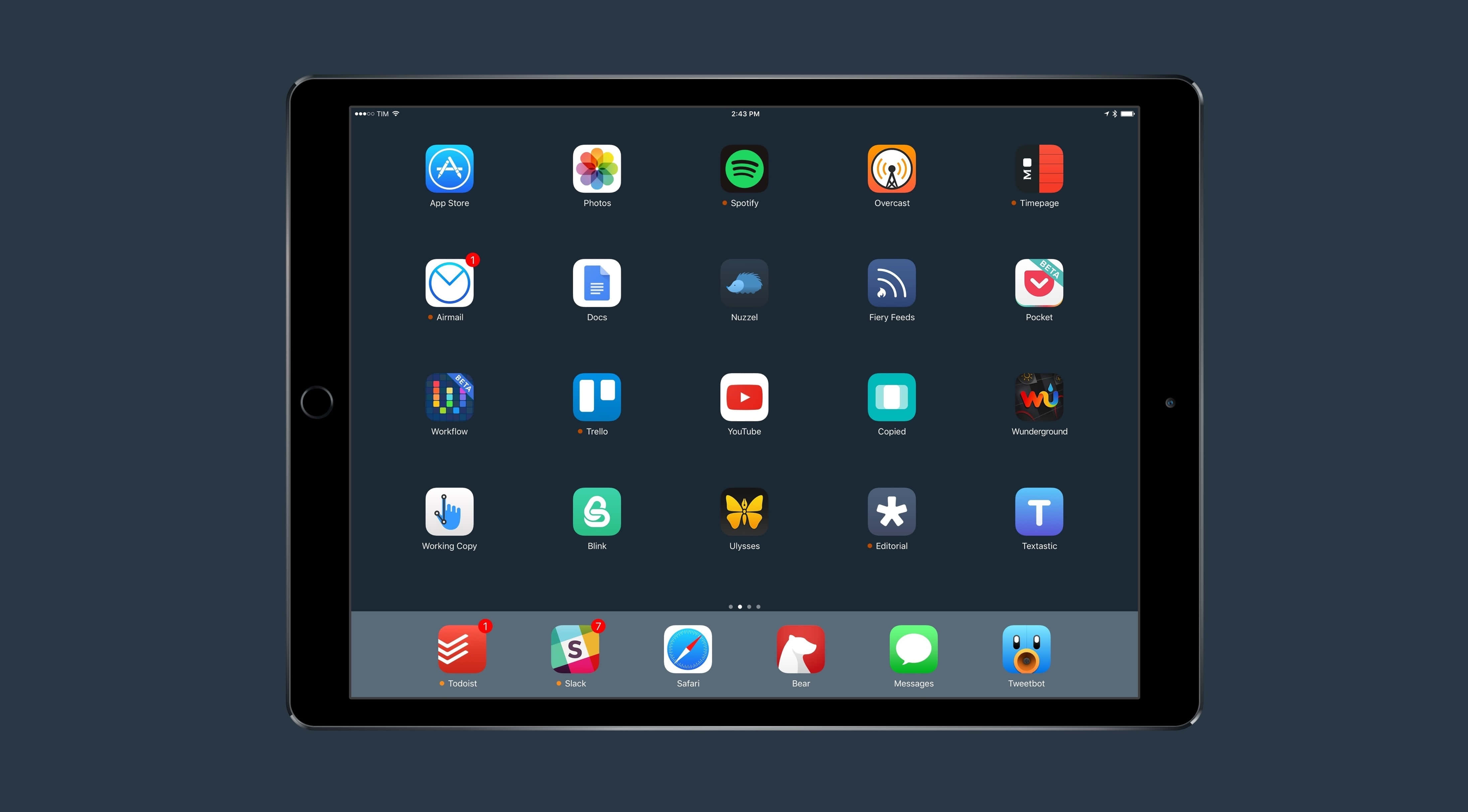 Наслаждайся живота с iPad Тапет