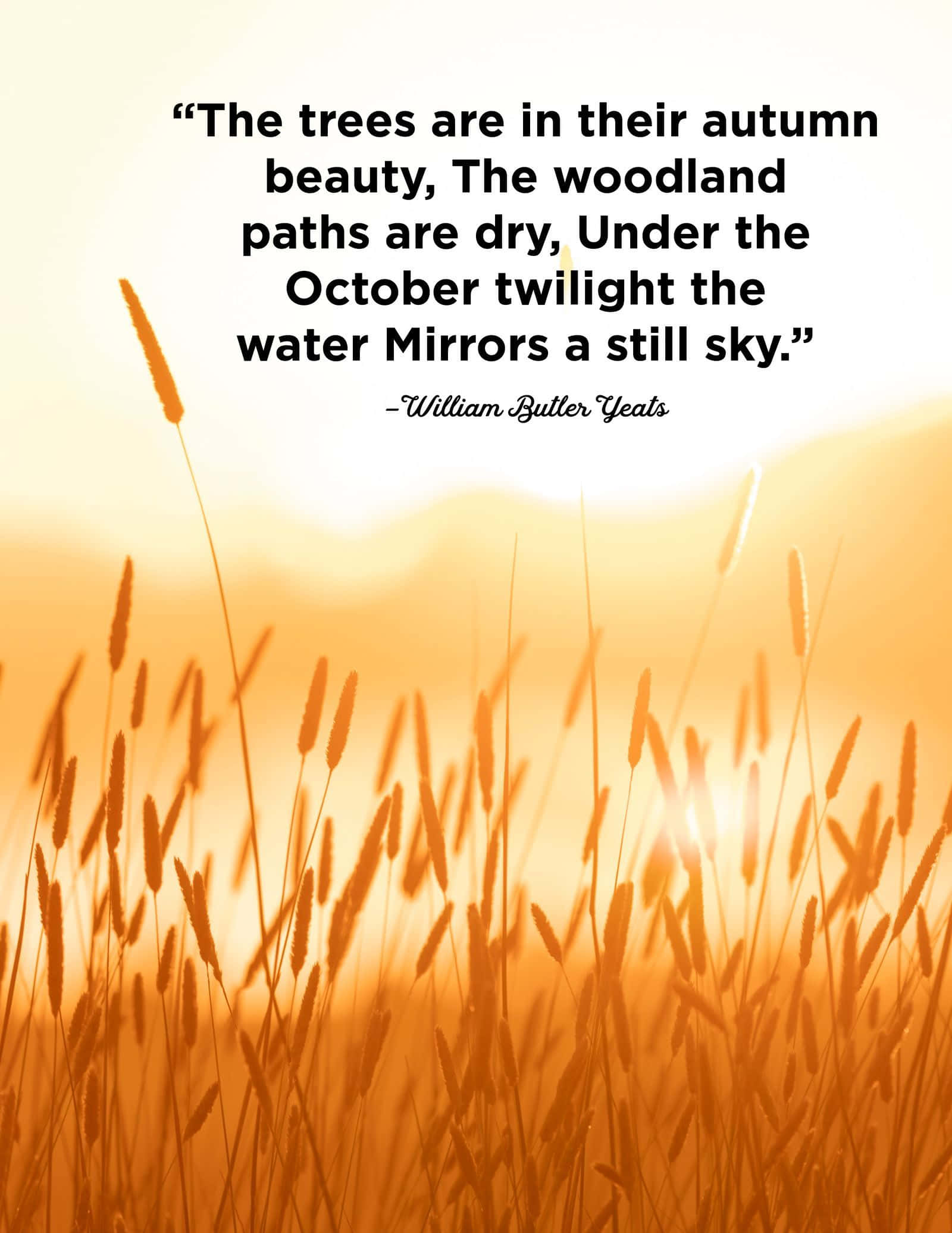 Наслаждайтесъ прохладния есенен въздух! Тапет