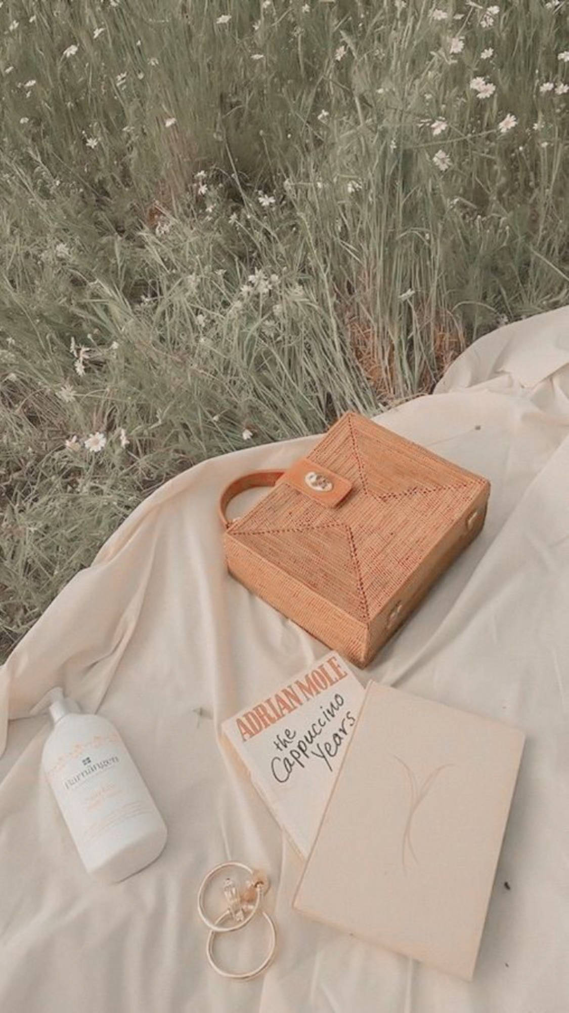 Нежна елегантност - Бежов естетичен чанта и книга Тапет