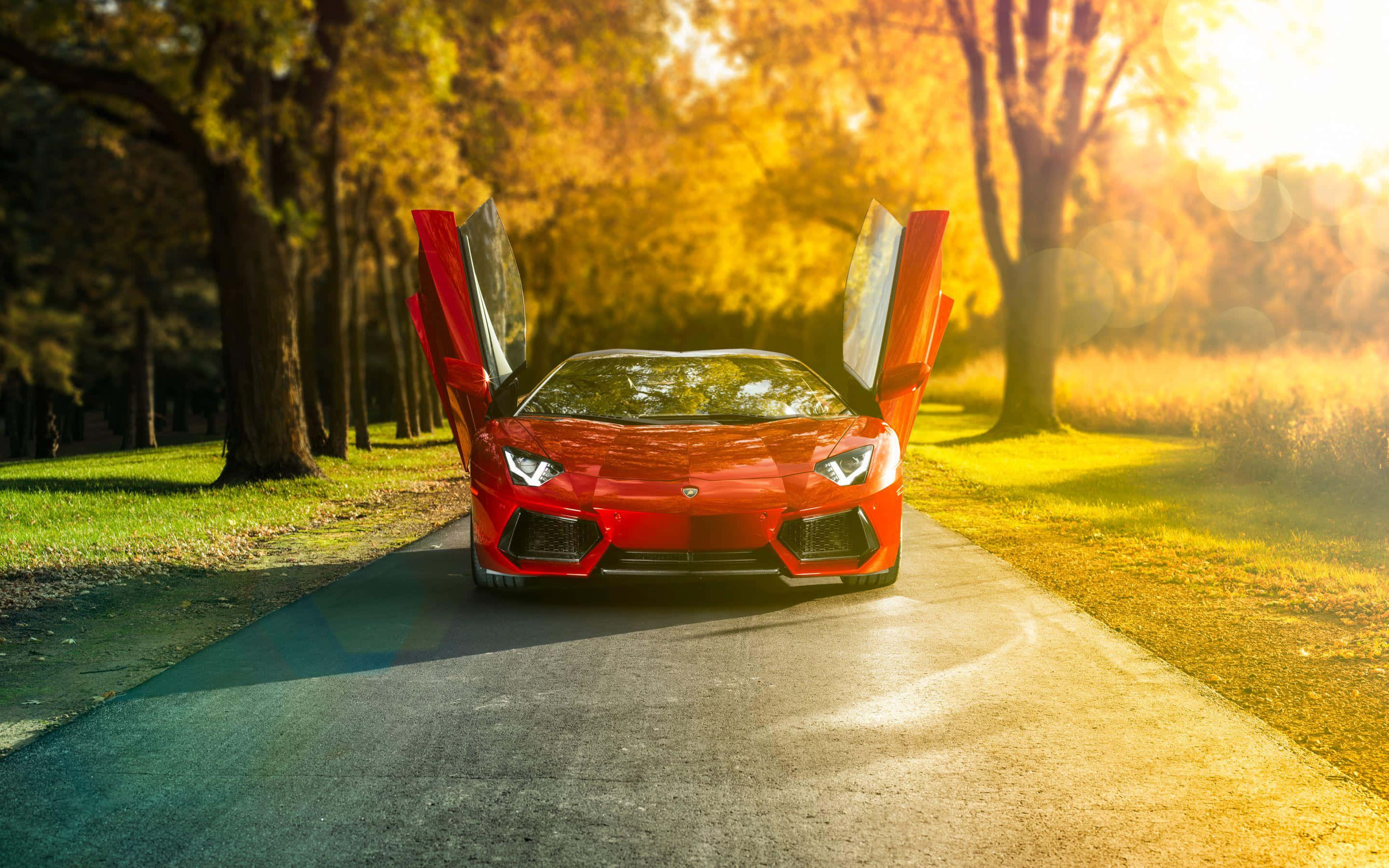 Отворена врата Lamborghini Aventador Тапет