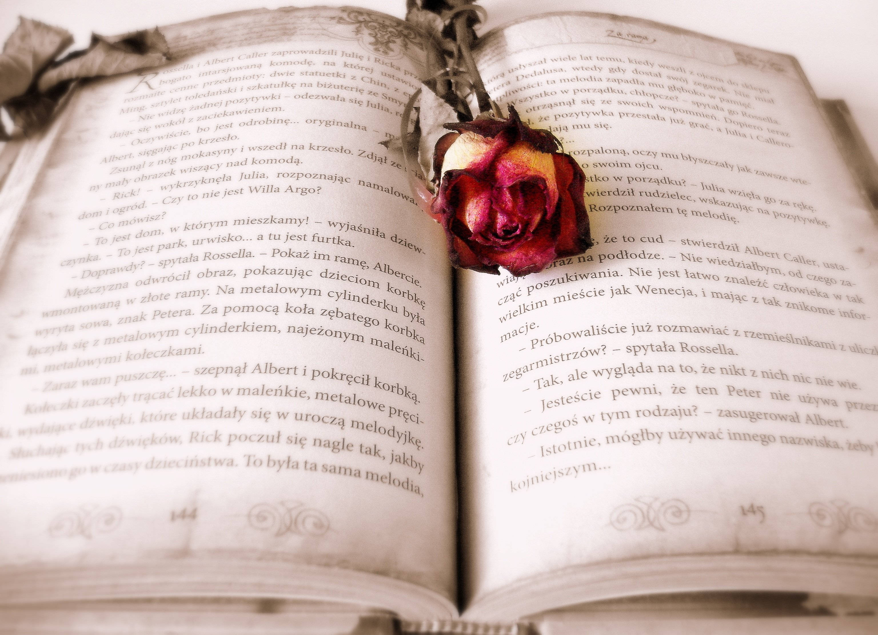 Отворена книга с червена роза естетика Тапет