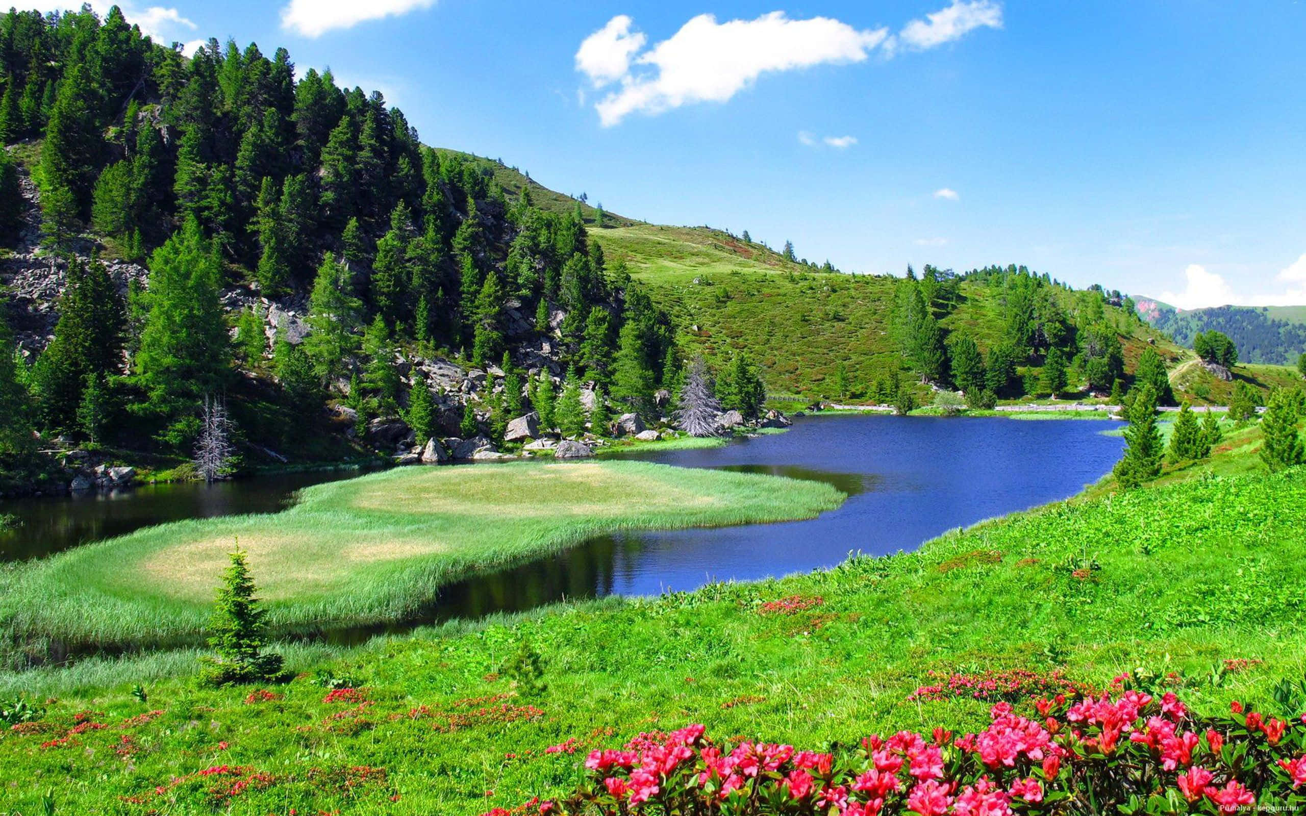 Пейзаж с река край поле с трева Тапет