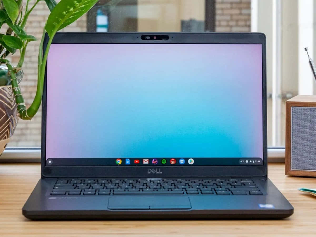 Представяме Chromebook: Достъпен и изискан лаптоп Тапет
