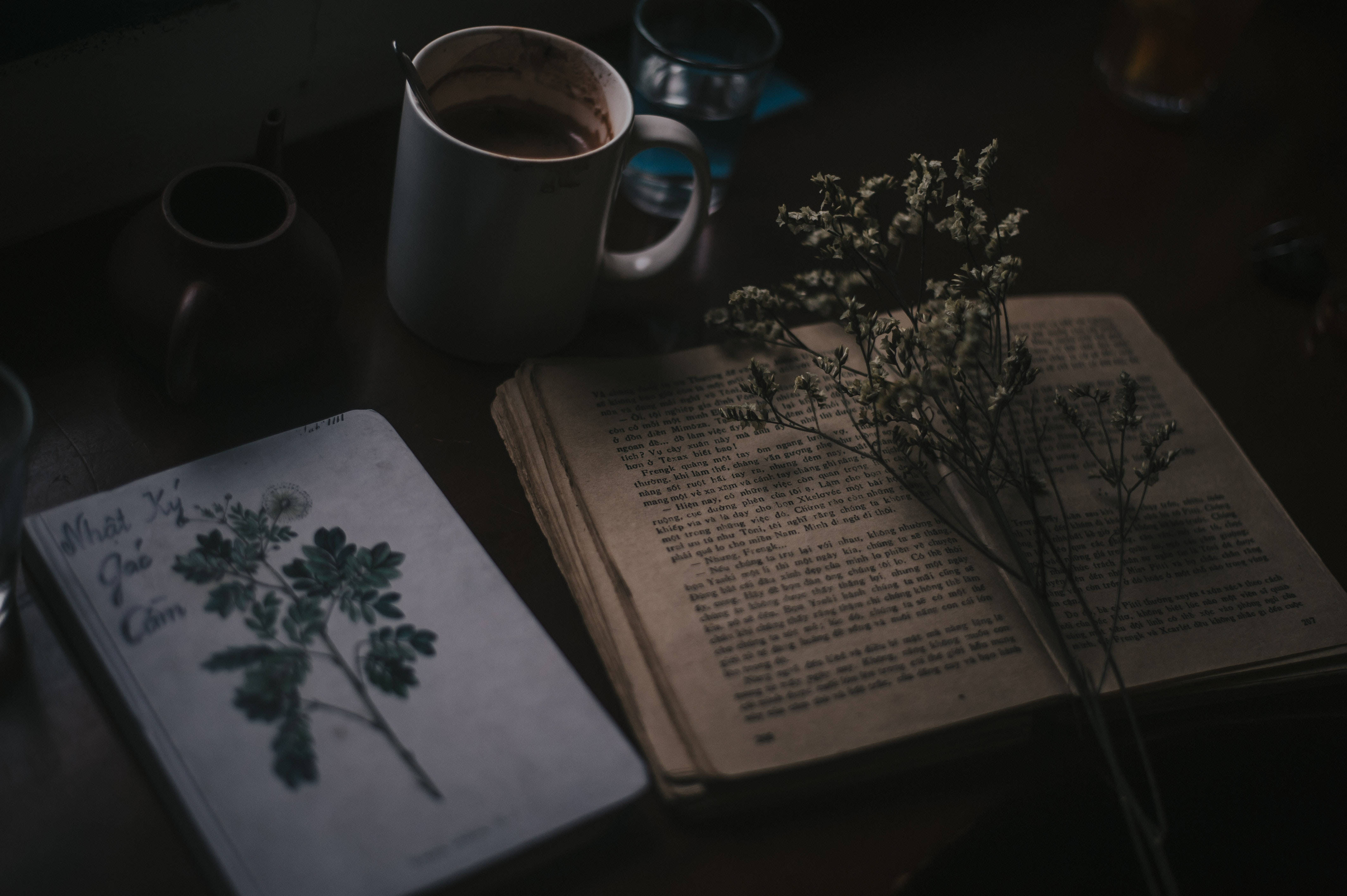 Препи естетика книги растения Тапет