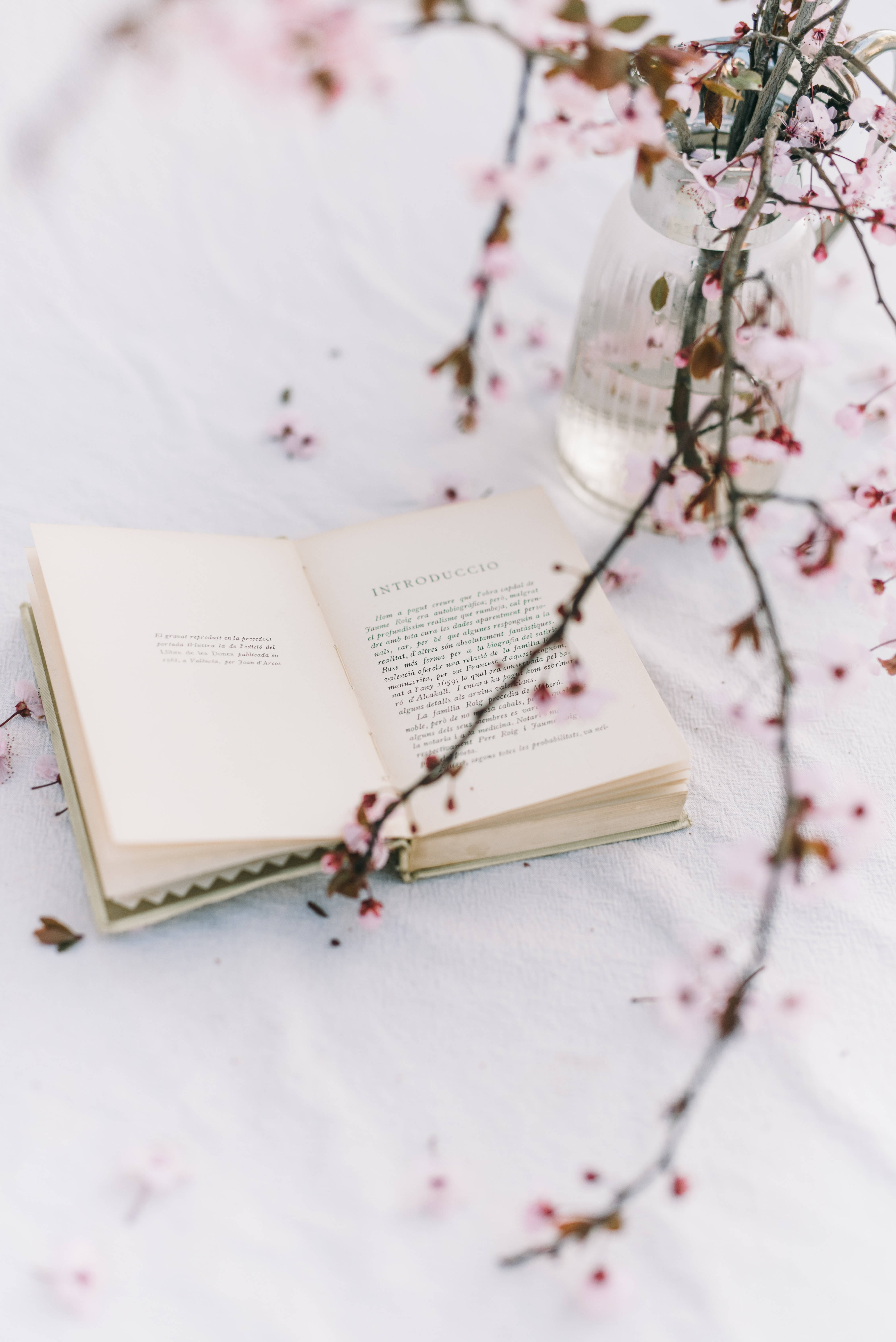 Препи естетика книга с черешов цвят Тапет
