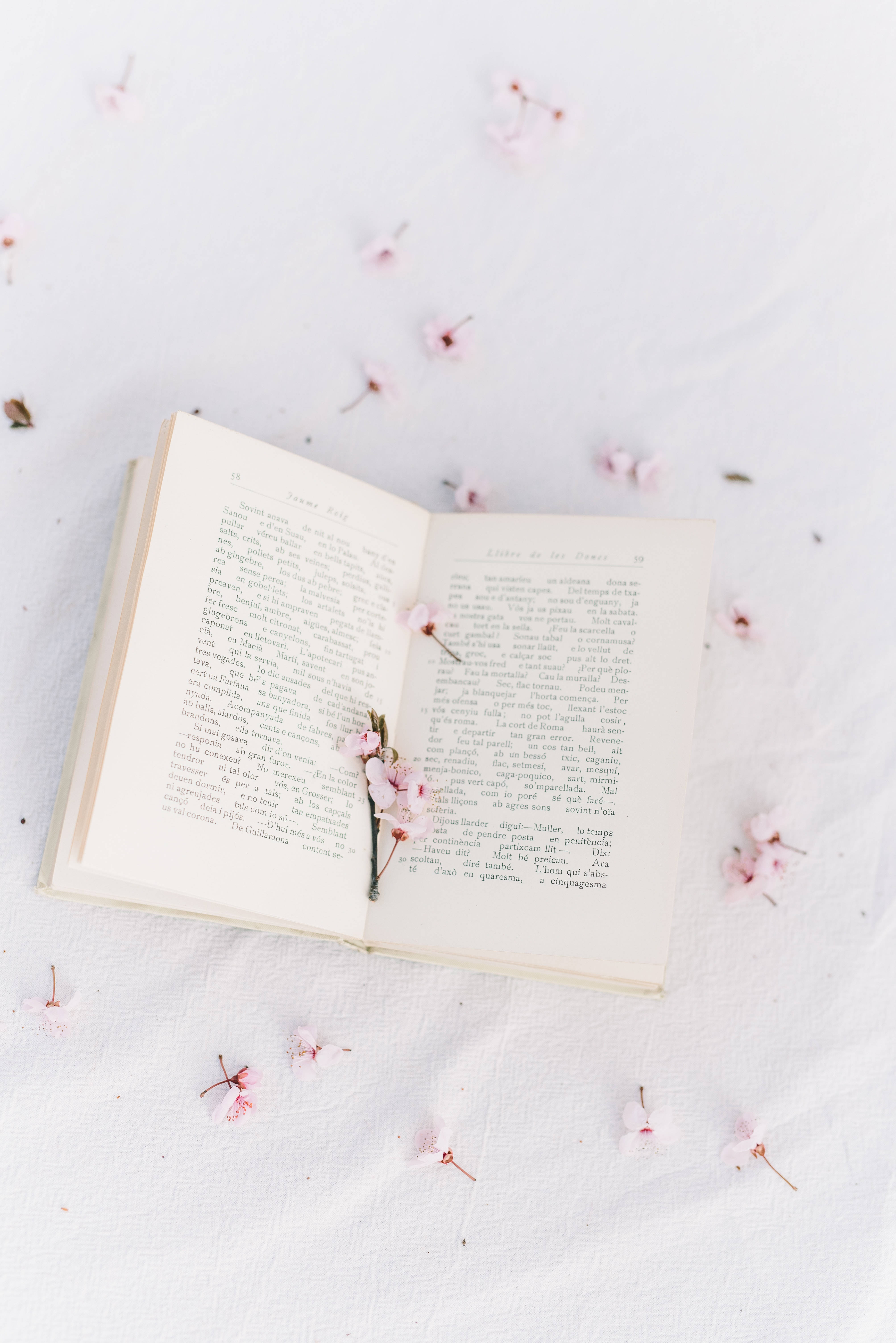 Препи естетика с книга и сакура Тапет