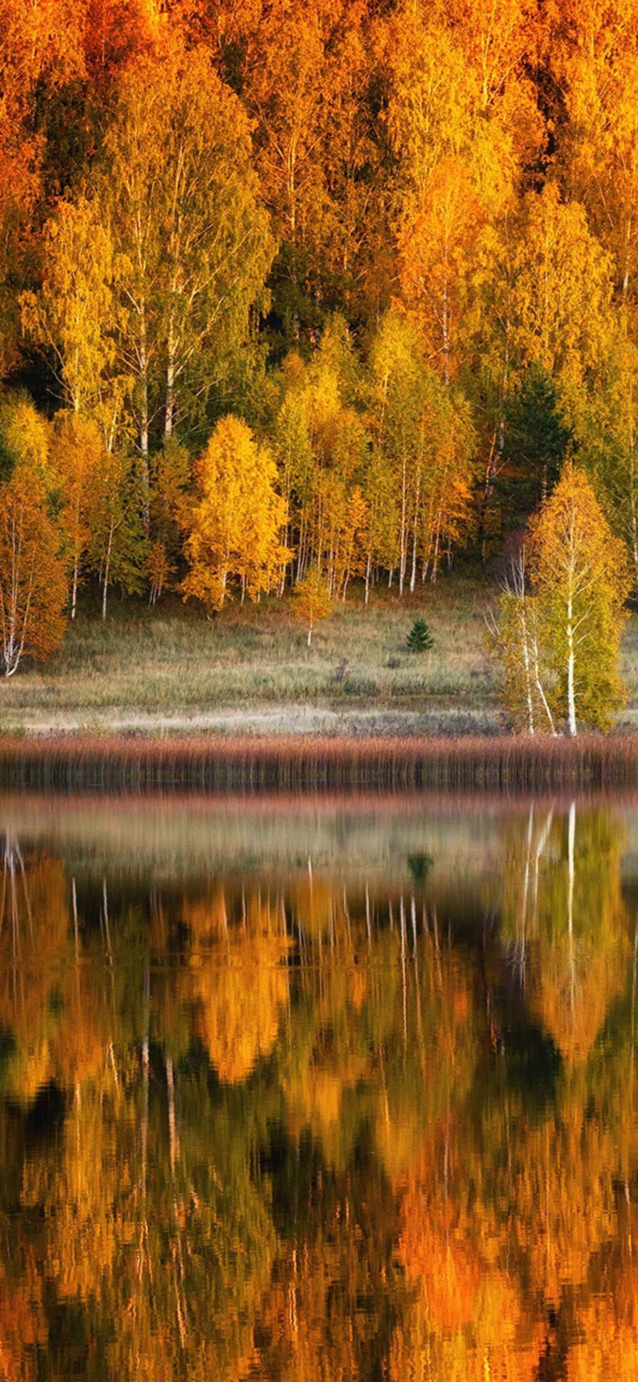 Подгответе се за есен с Apple iPhone XS Max Тапет
