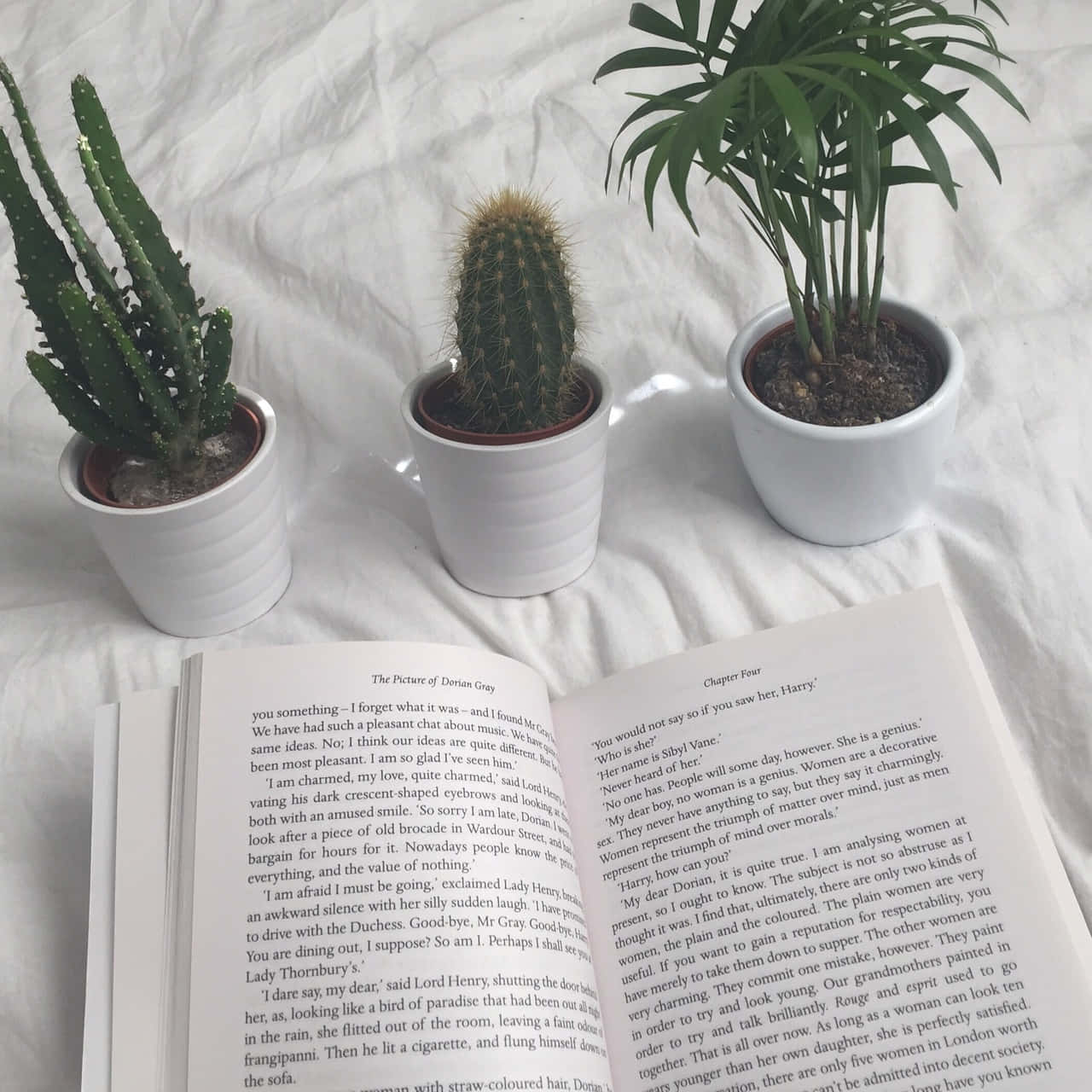 "Разгледай света на книгите! 📖" Тапет