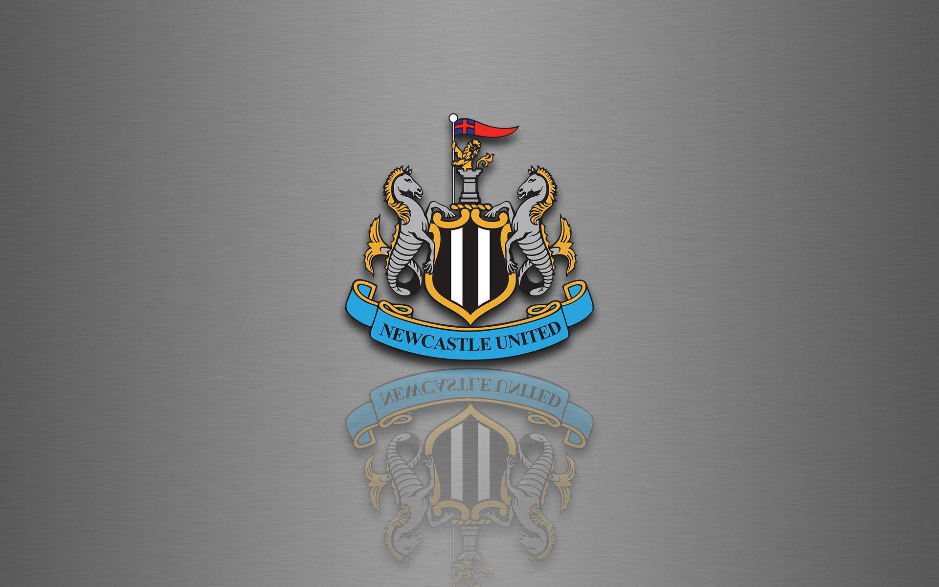 Newcastle United футболен клуб лого сив десктоп тапет.
