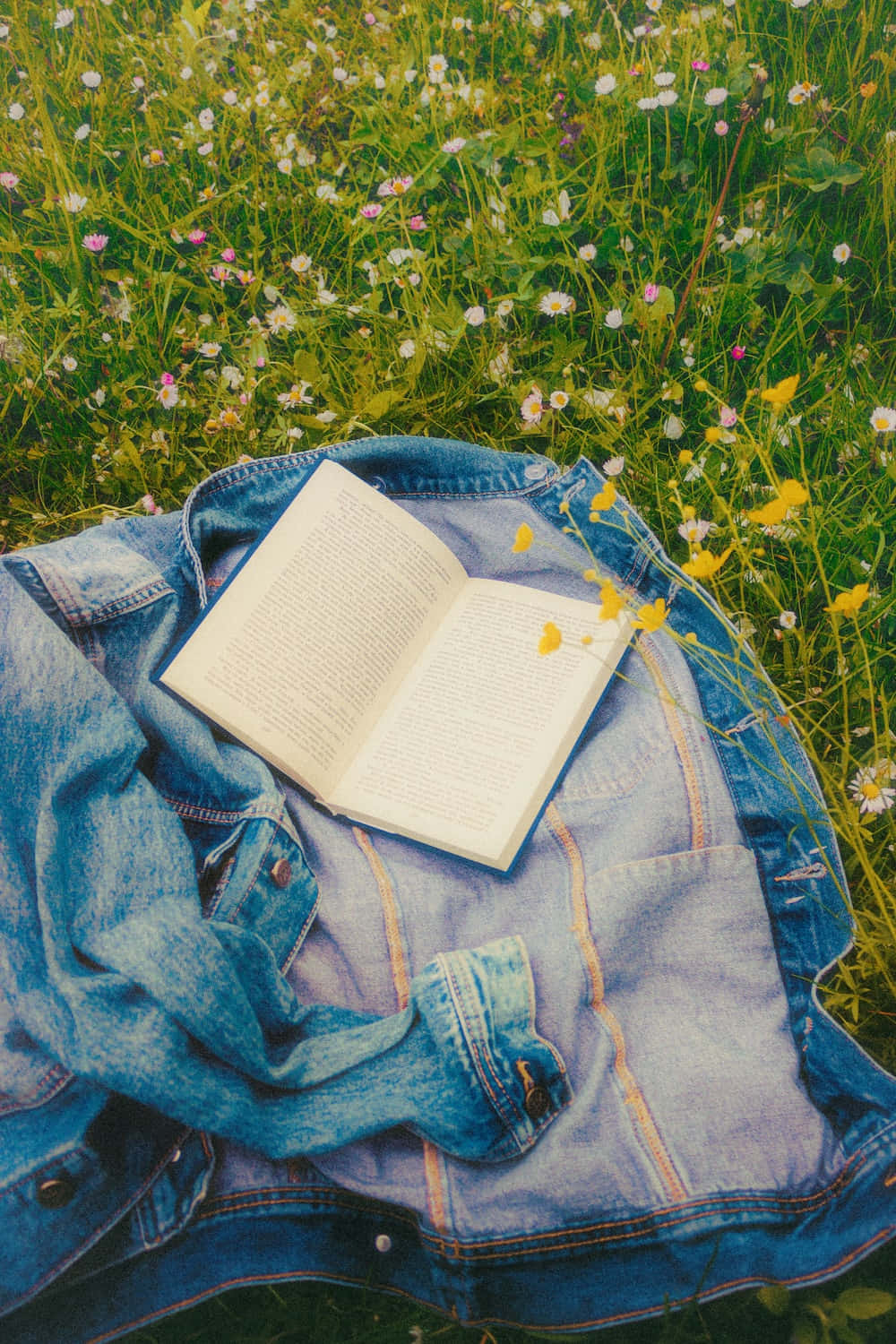 синьо денима яке лежи на зелено поле Тапет
