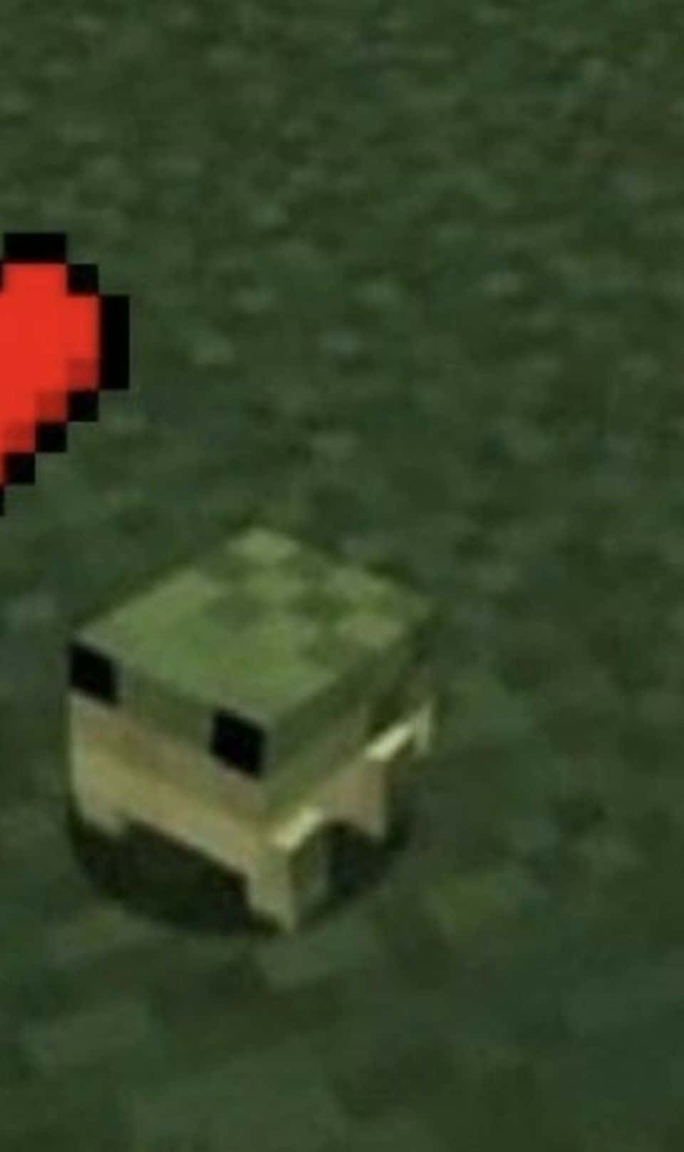 Сладка жаба от Minecraft профилна снимка Тапет