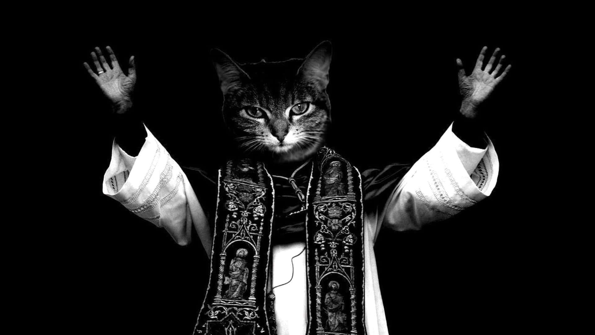 Сладка смешна котка свещеник вдига ръце Тапет